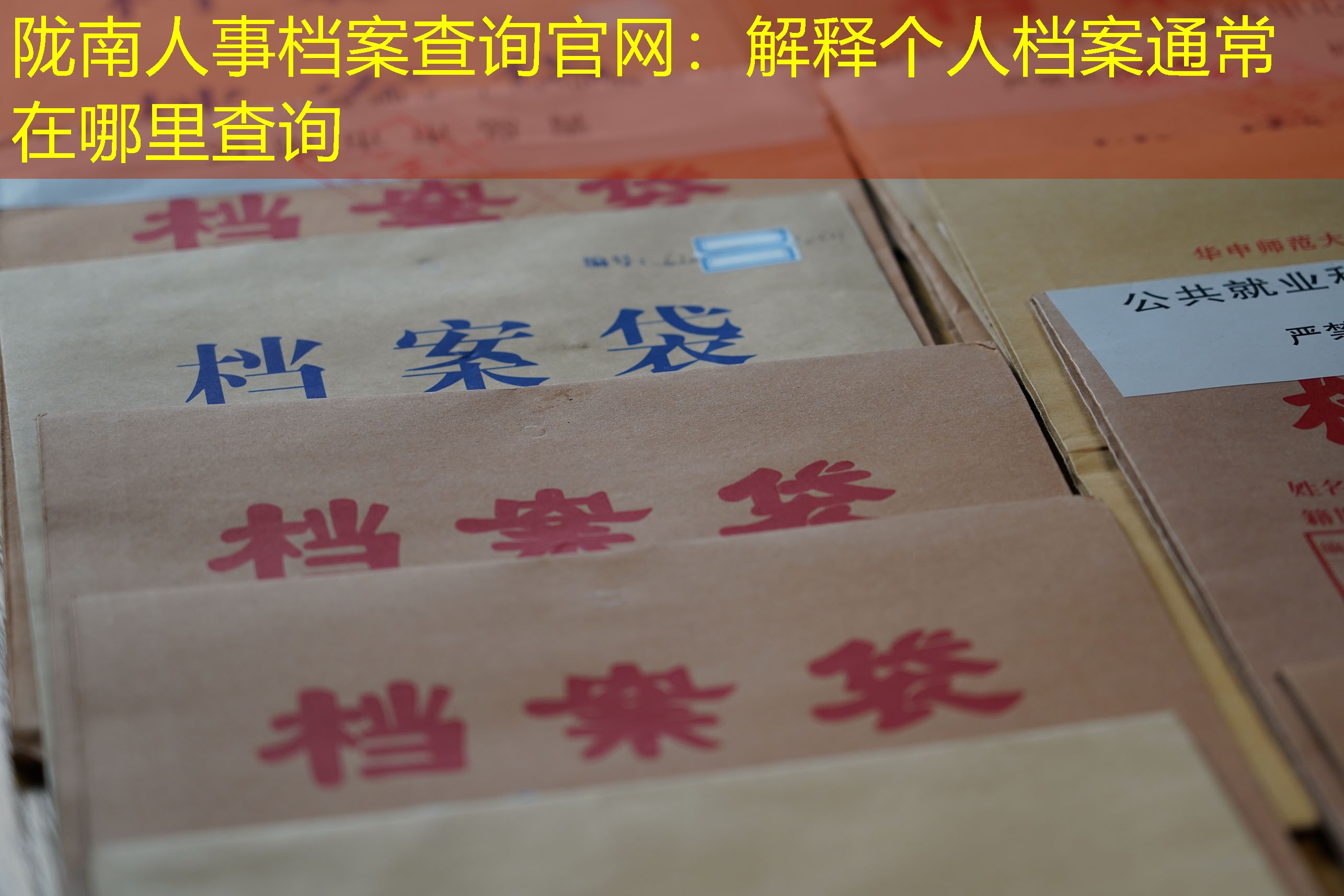 档案查询