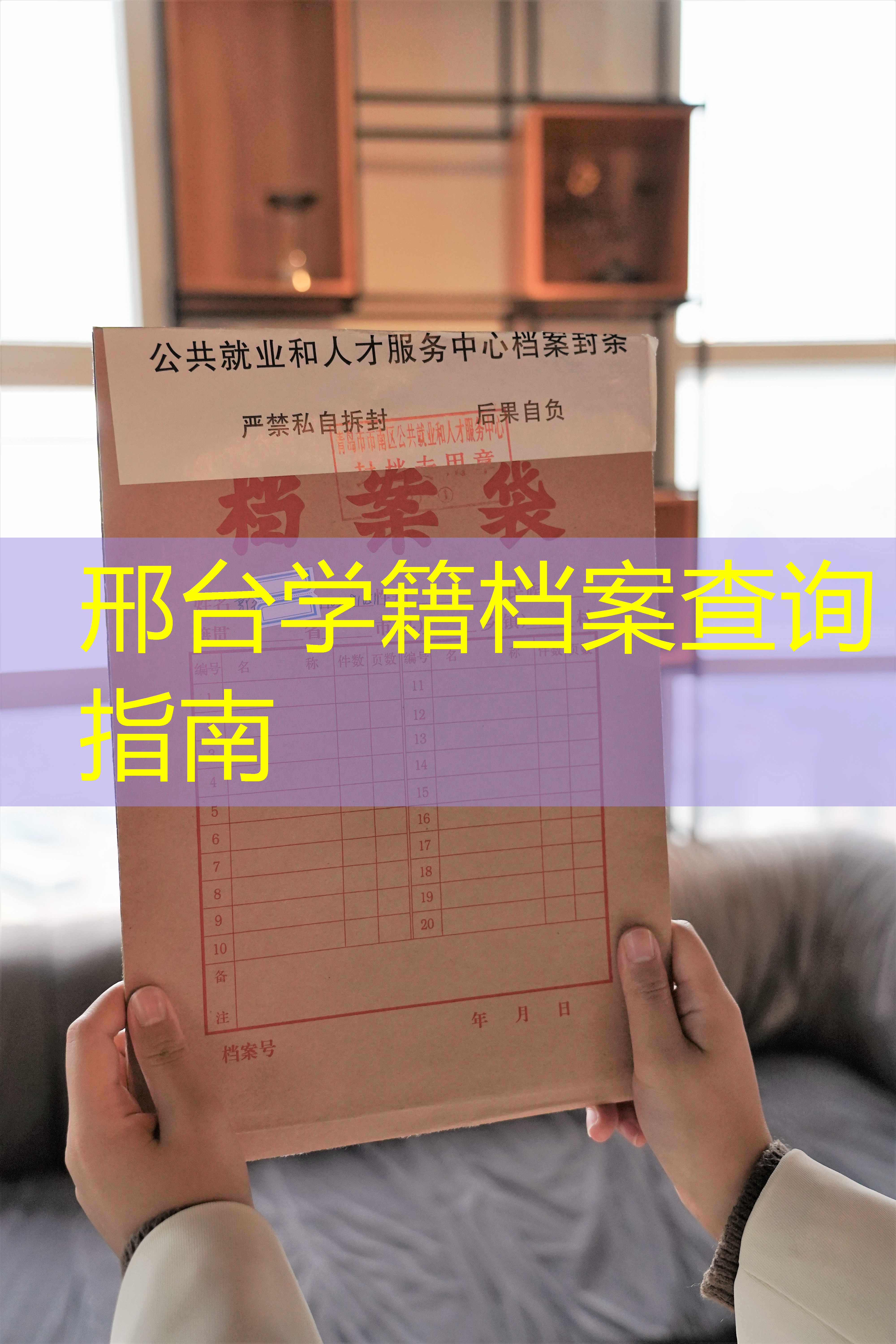 档案查询