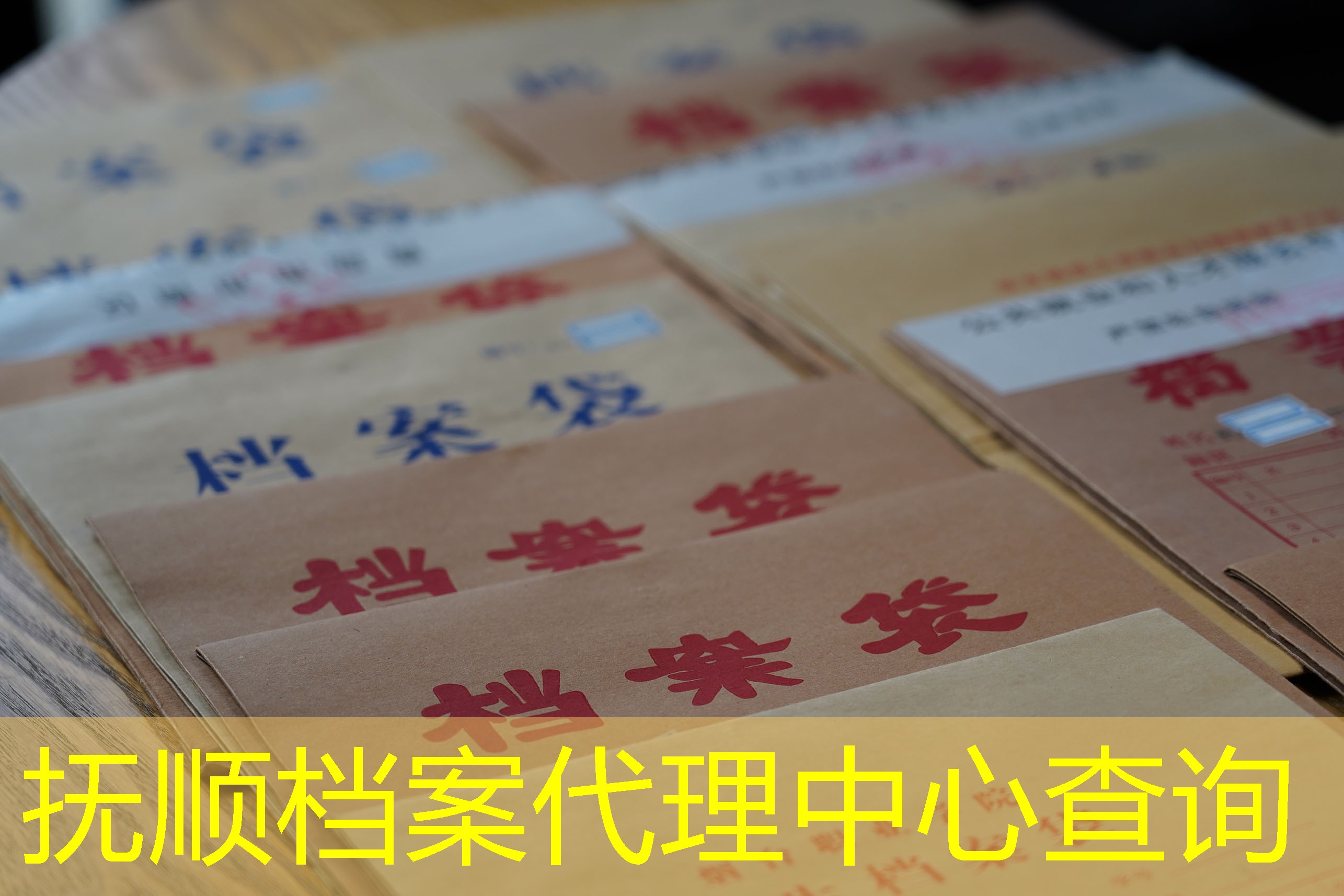 档案查询