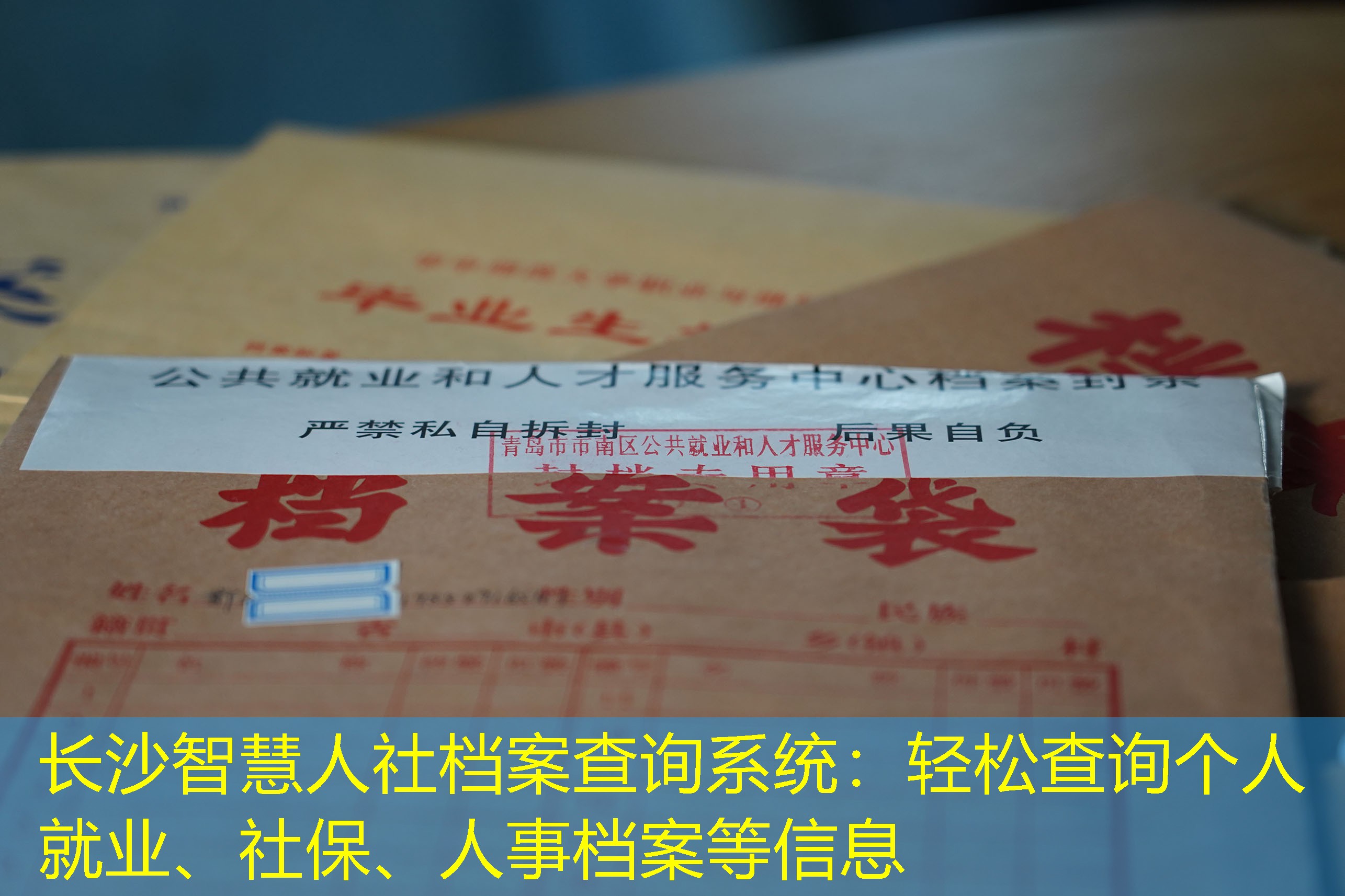 档案查询