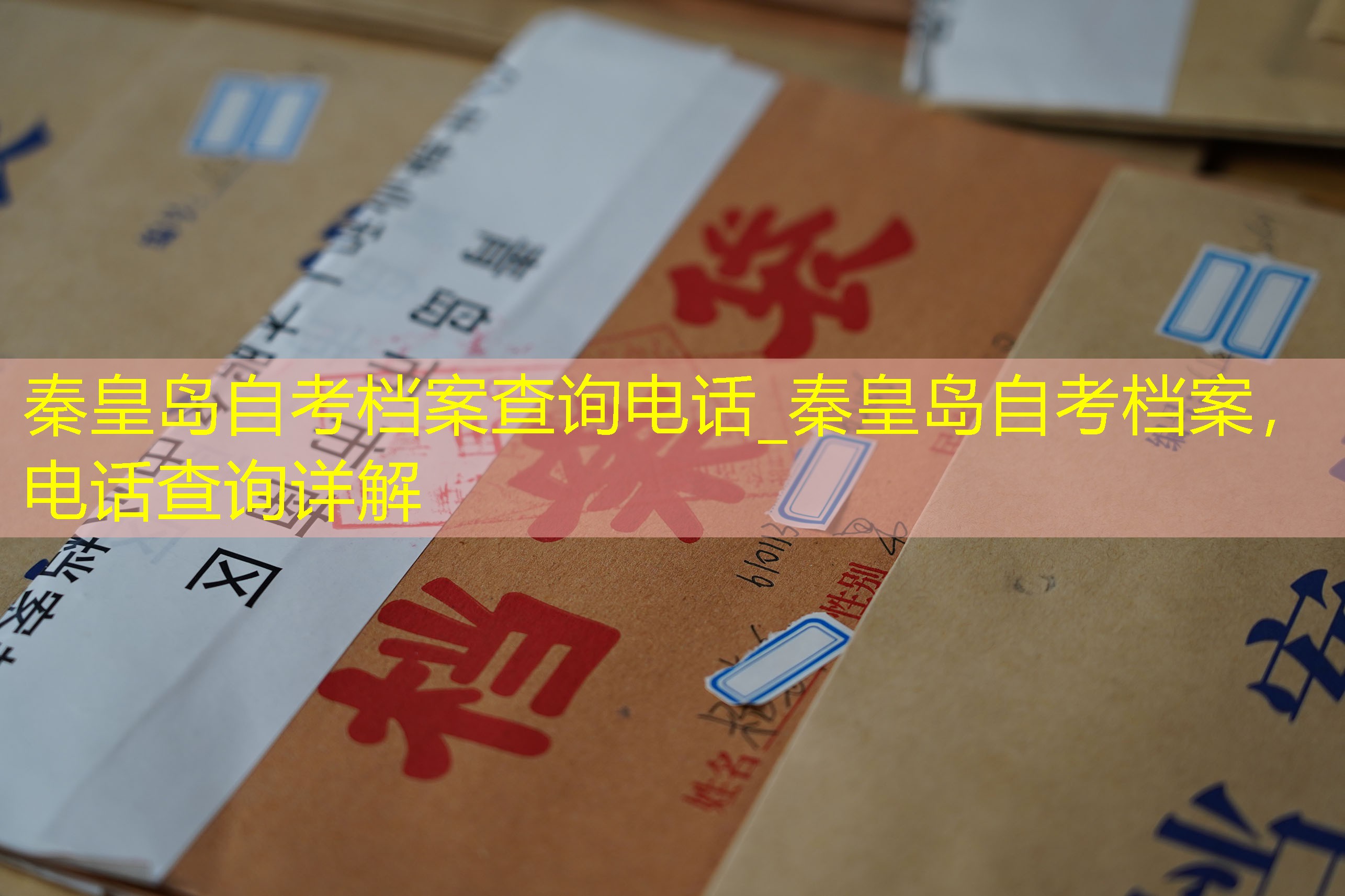 档案查询