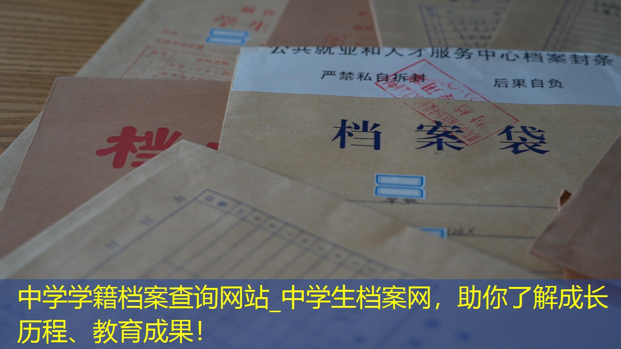档案查询