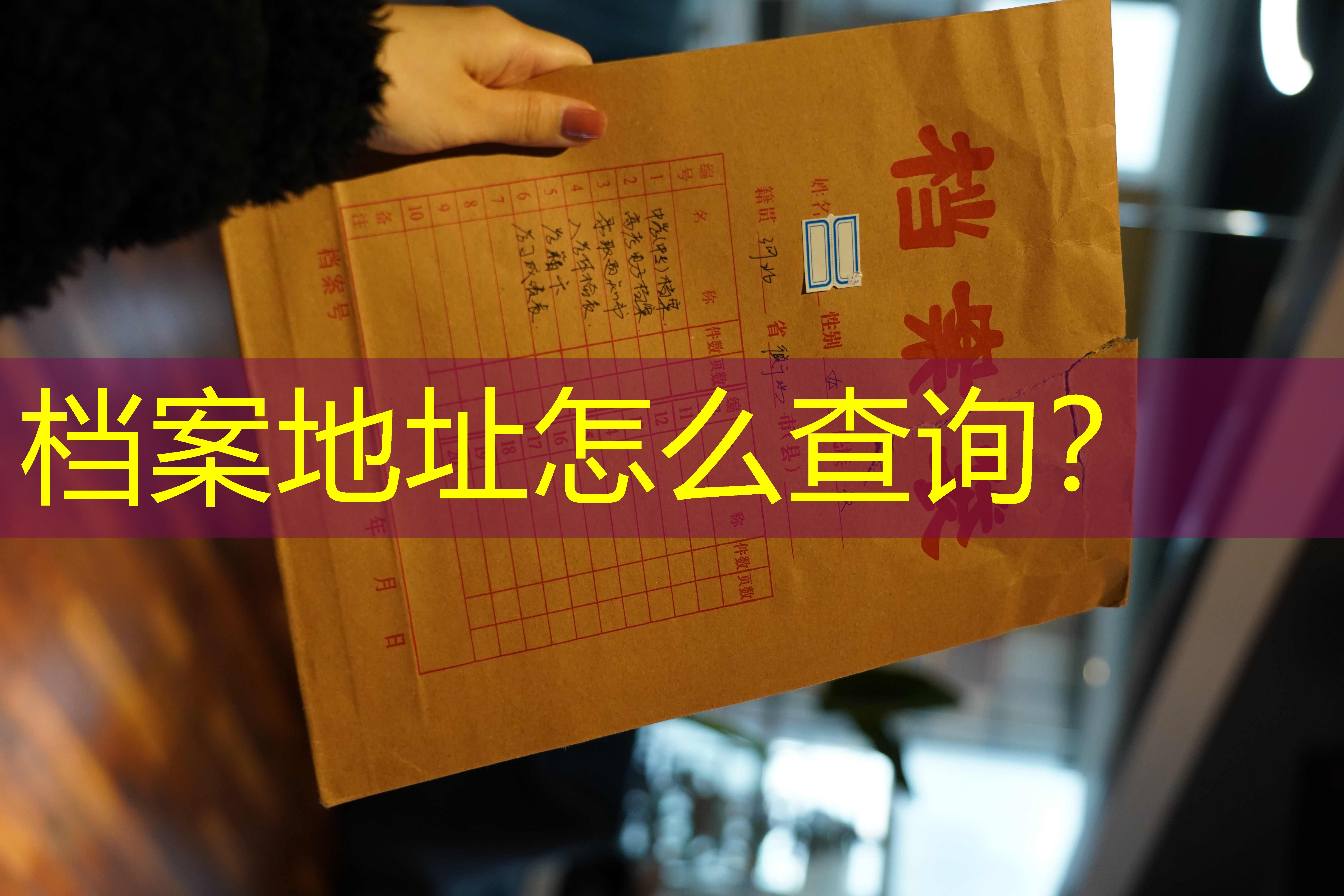 档案查询