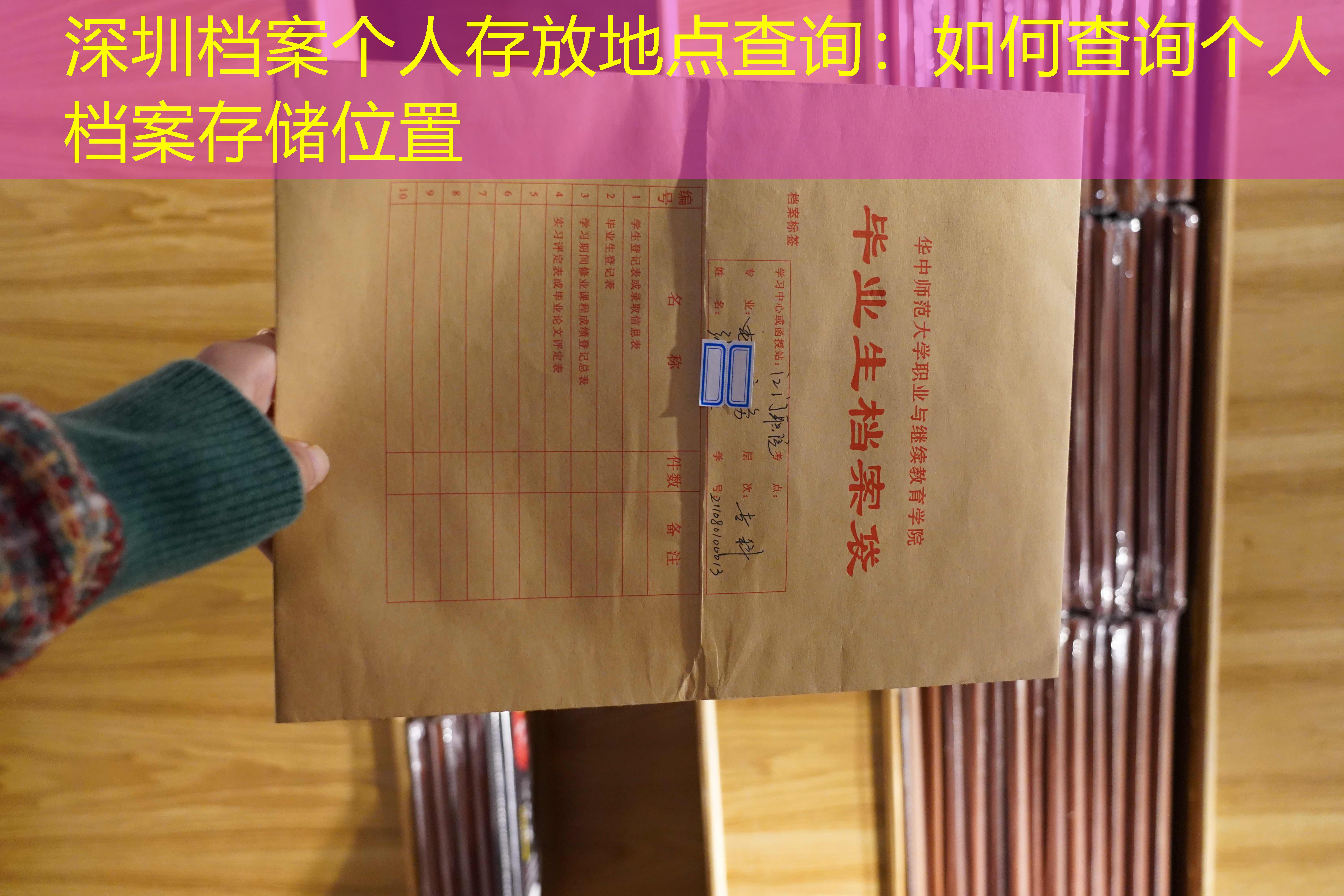 档案查询