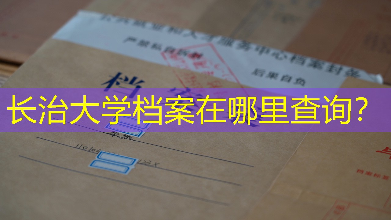 档案查询