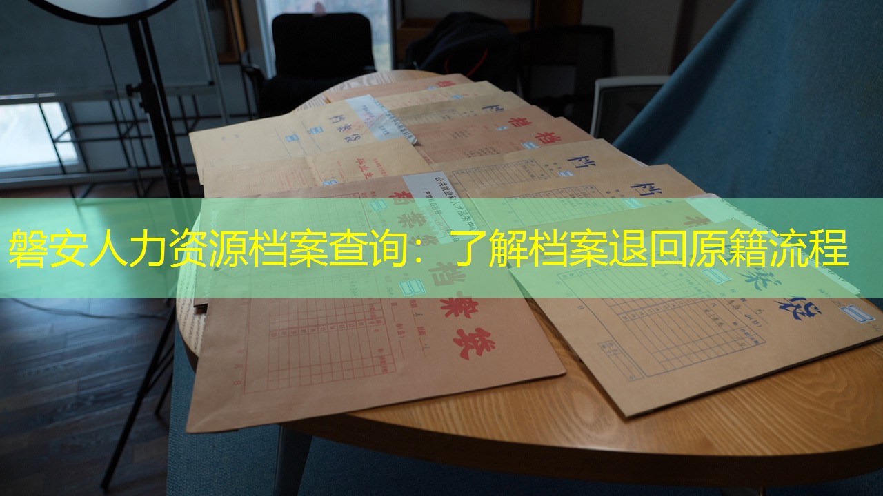 档案查询