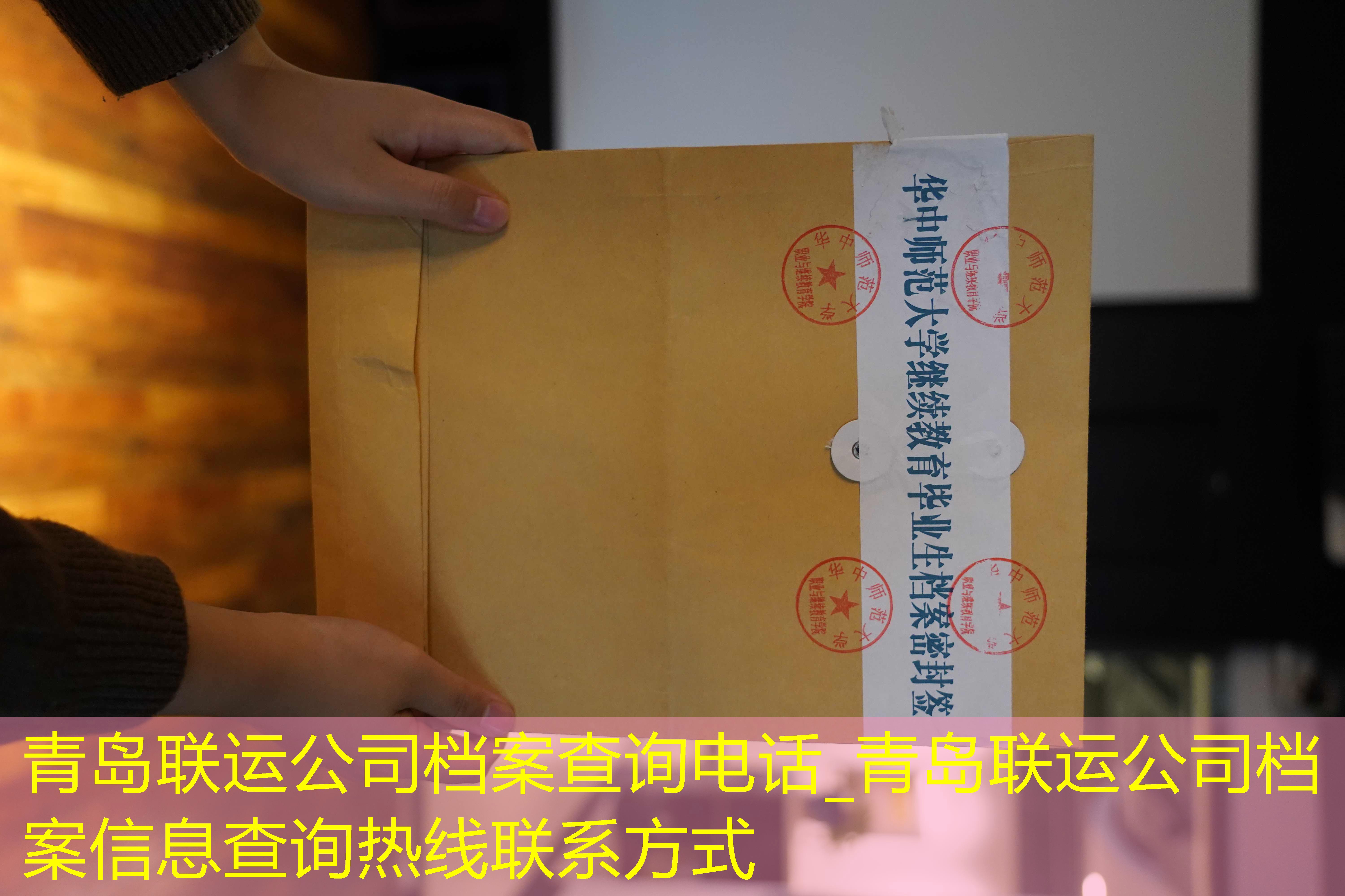 档案查询