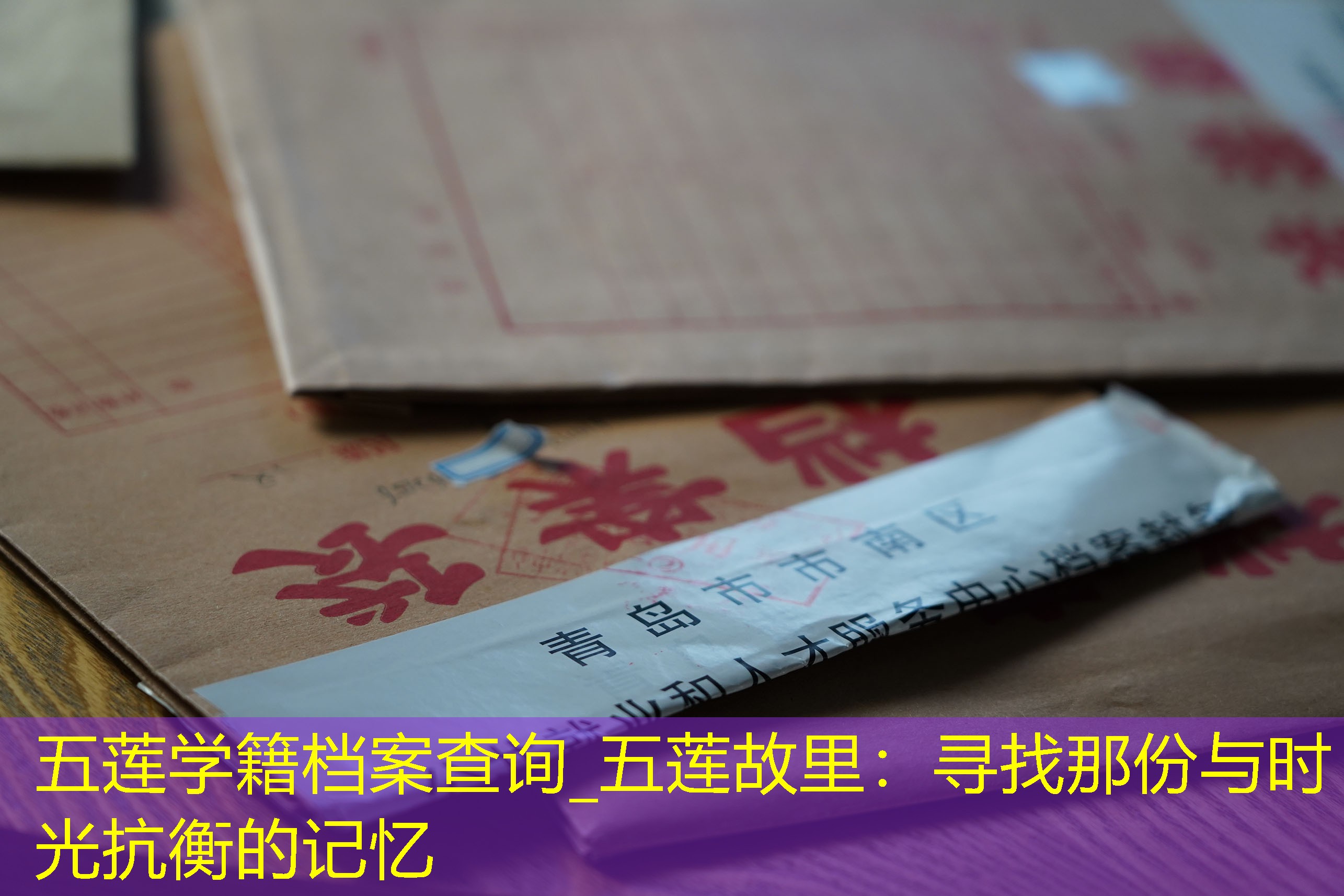 档案查询