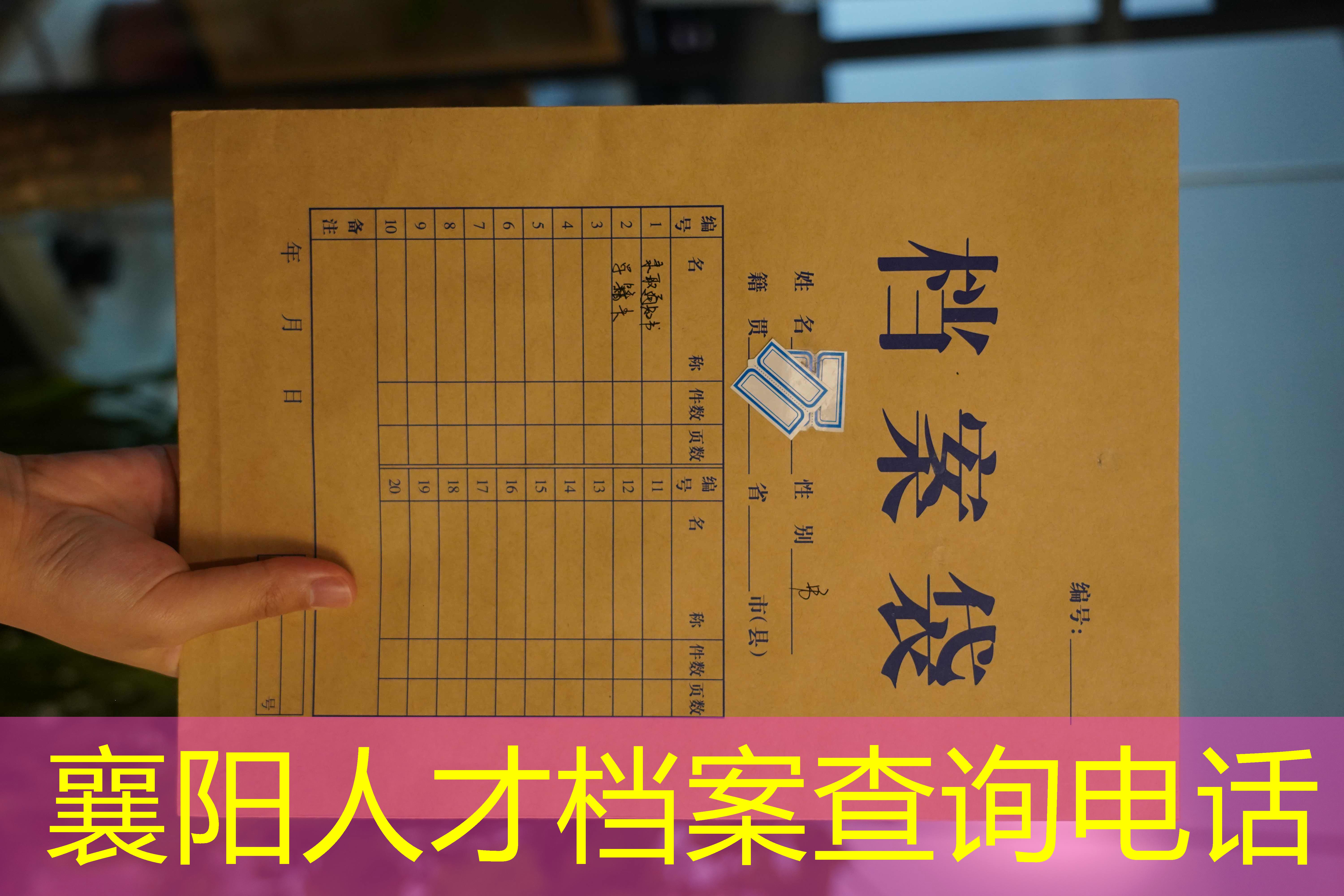 档案查询
