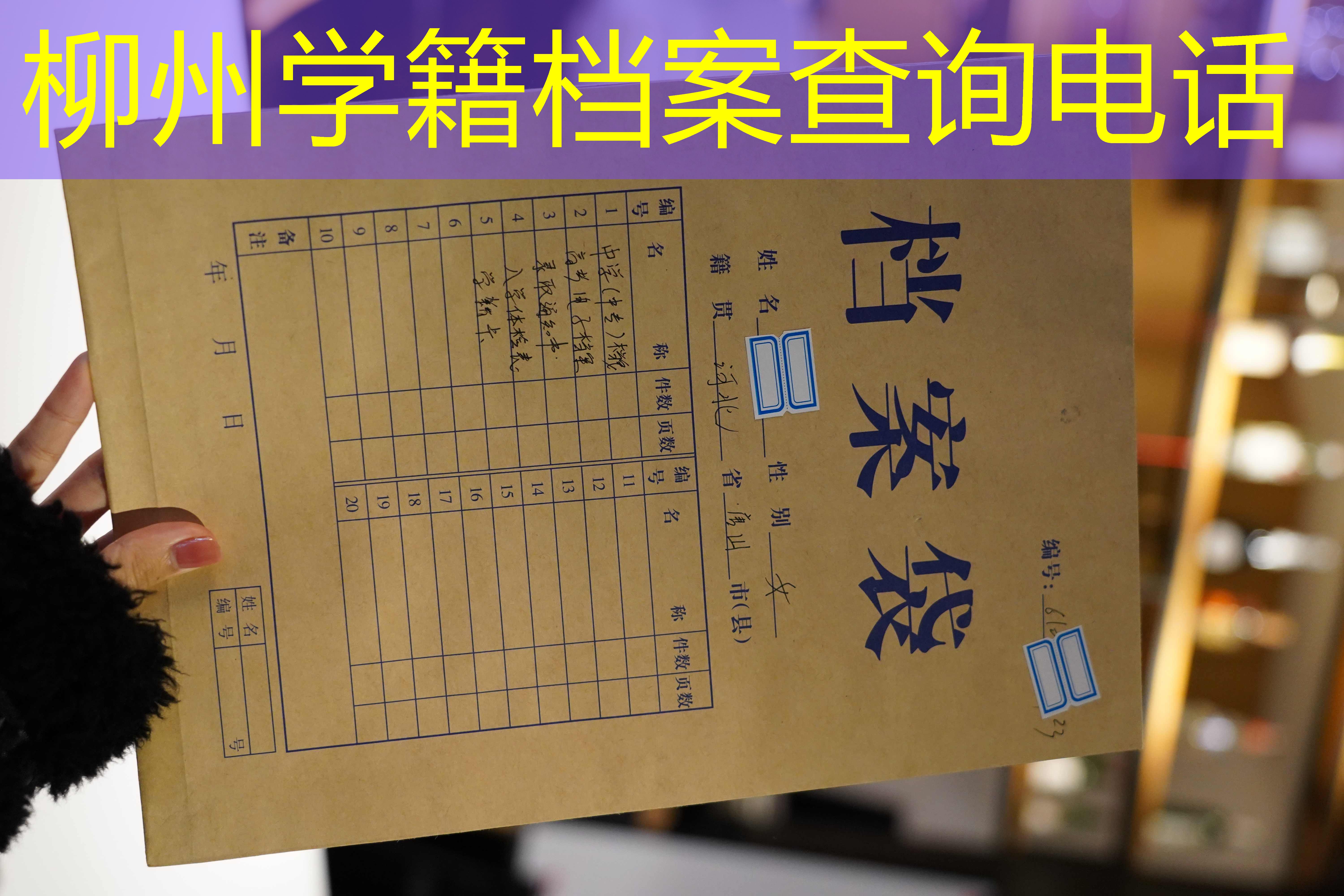 档案查询