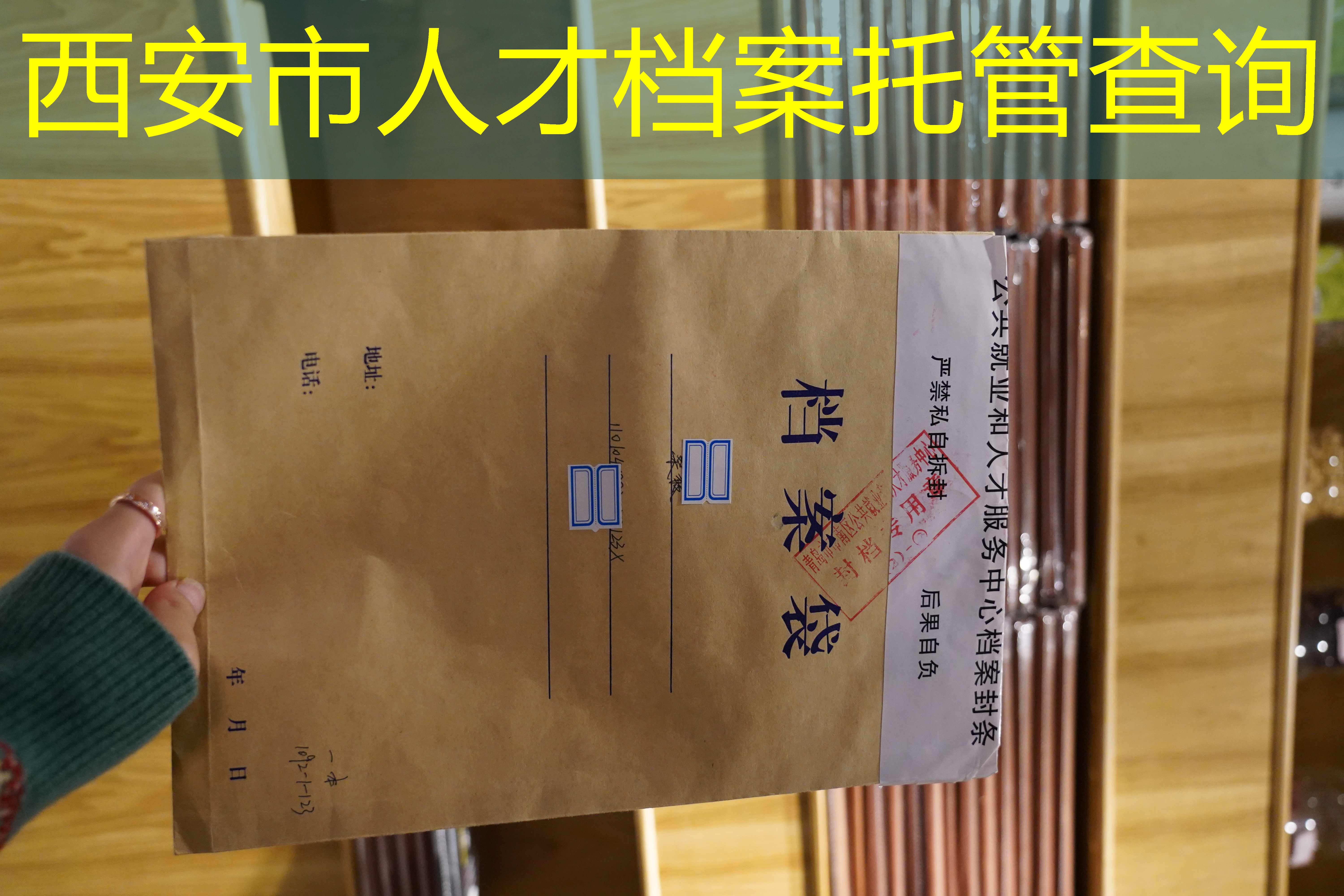 档案查询