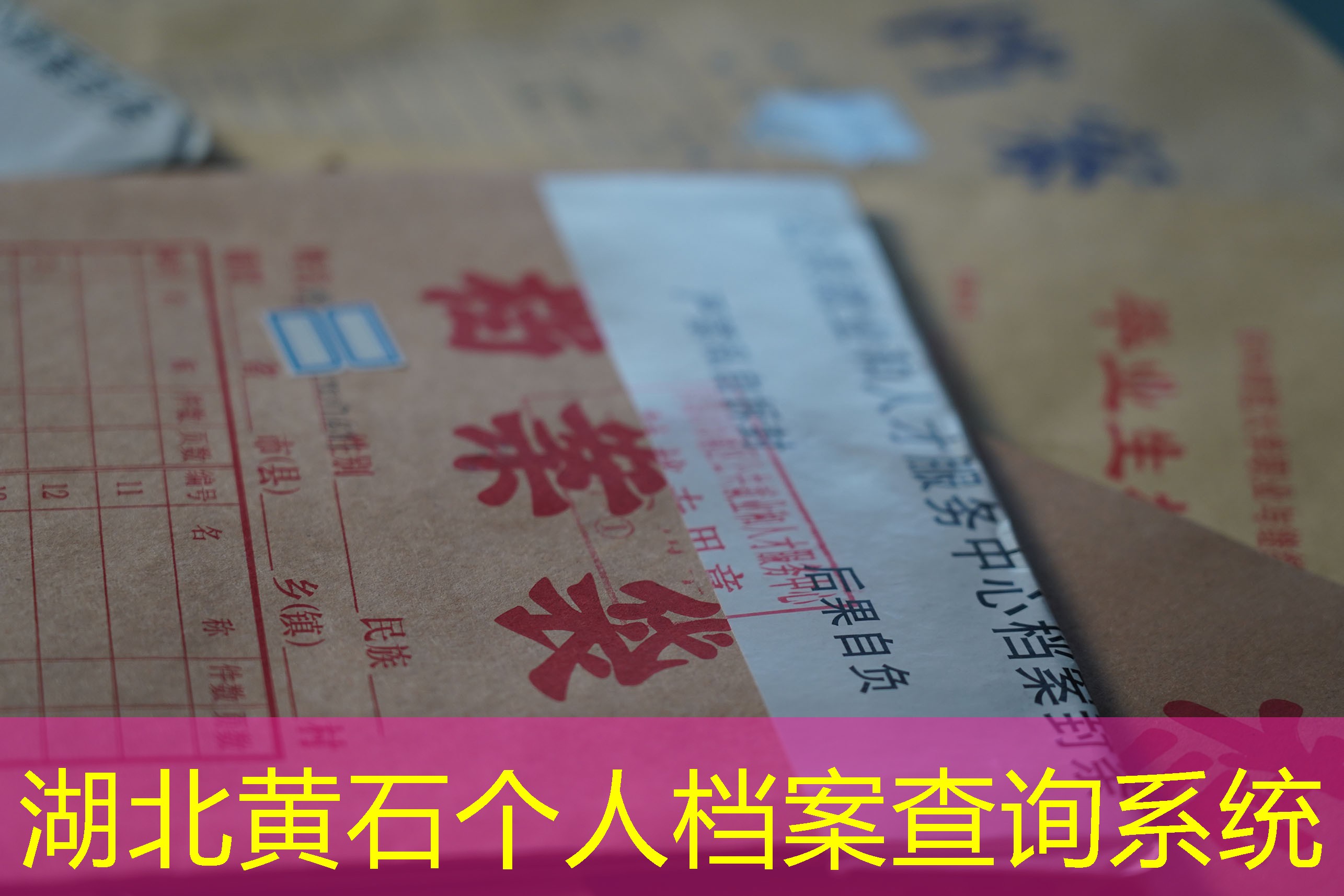 档案查询