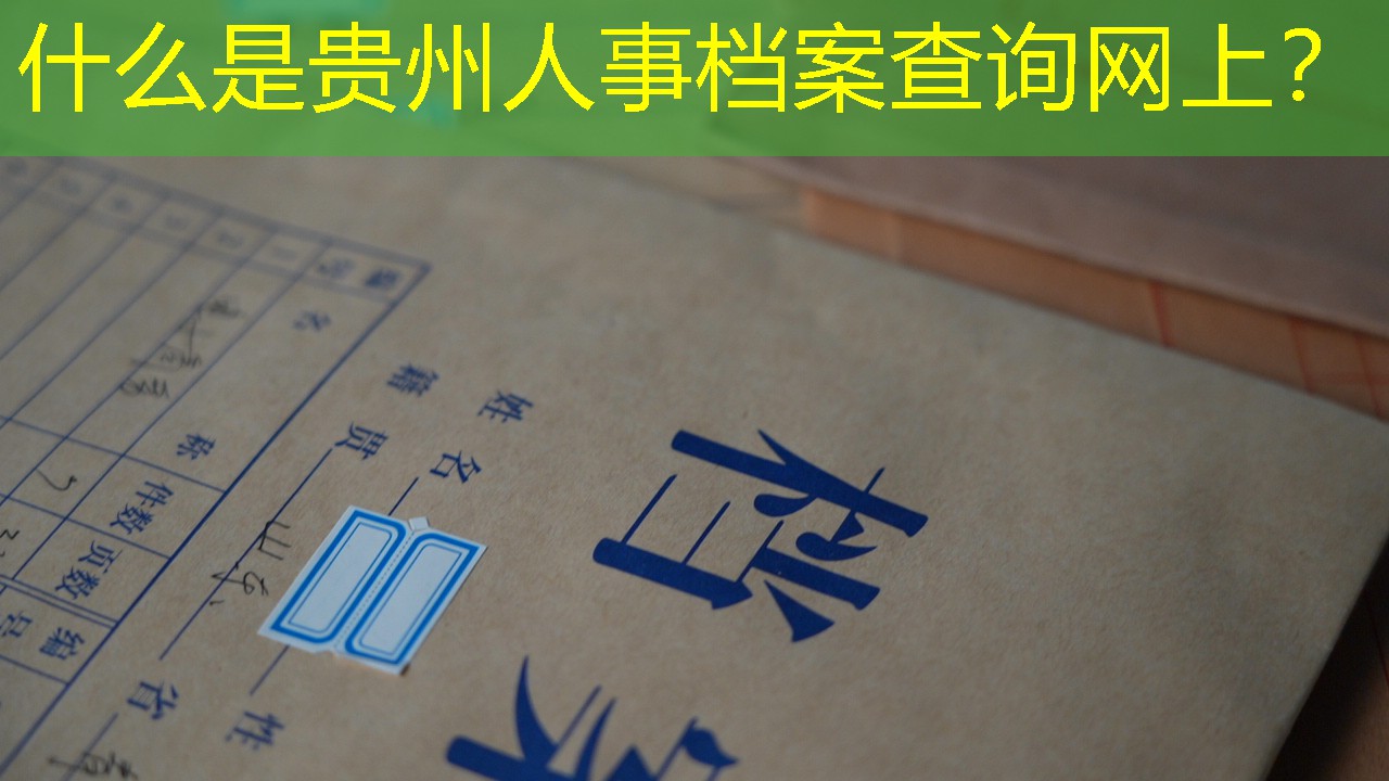 档案查询