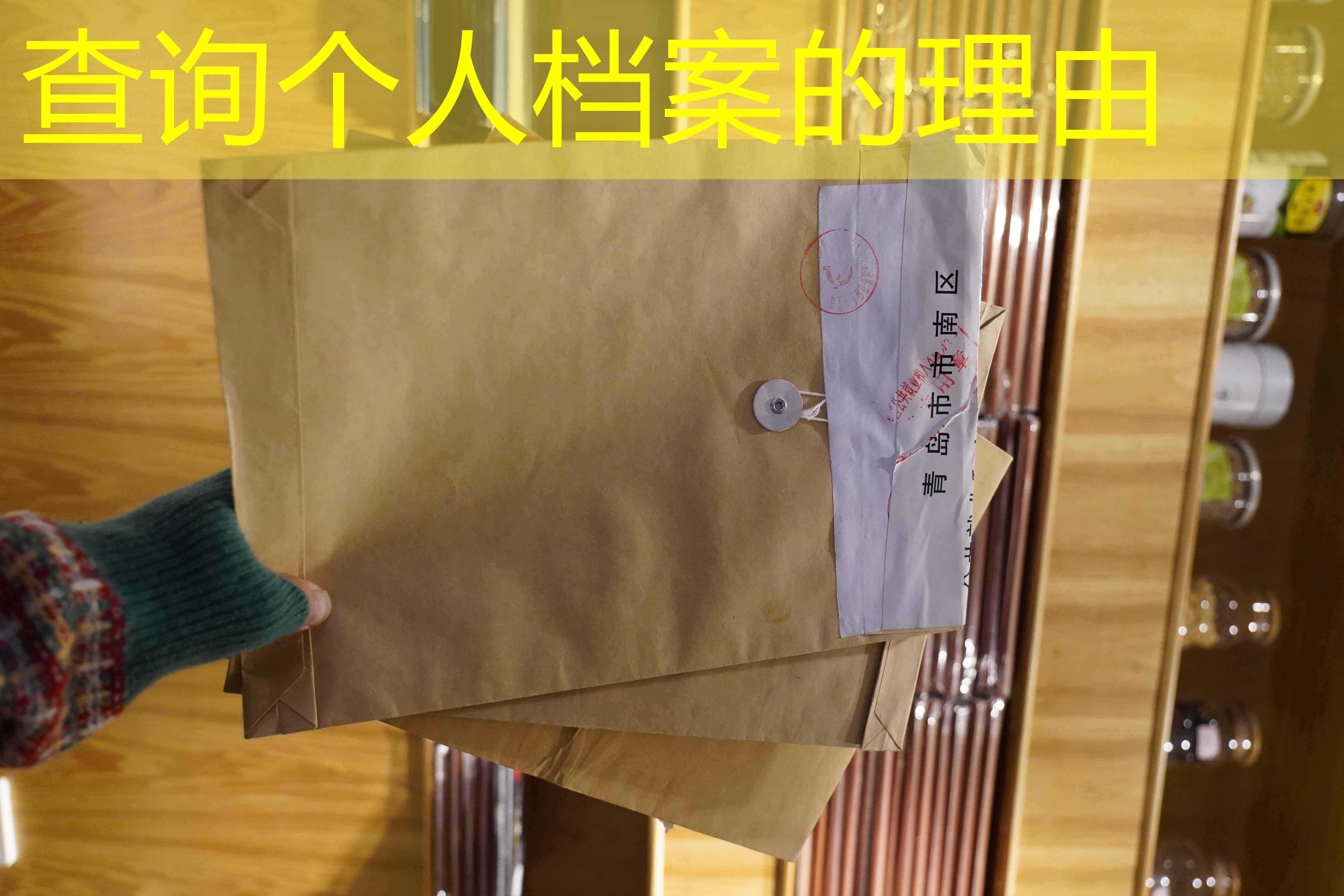 档案查询