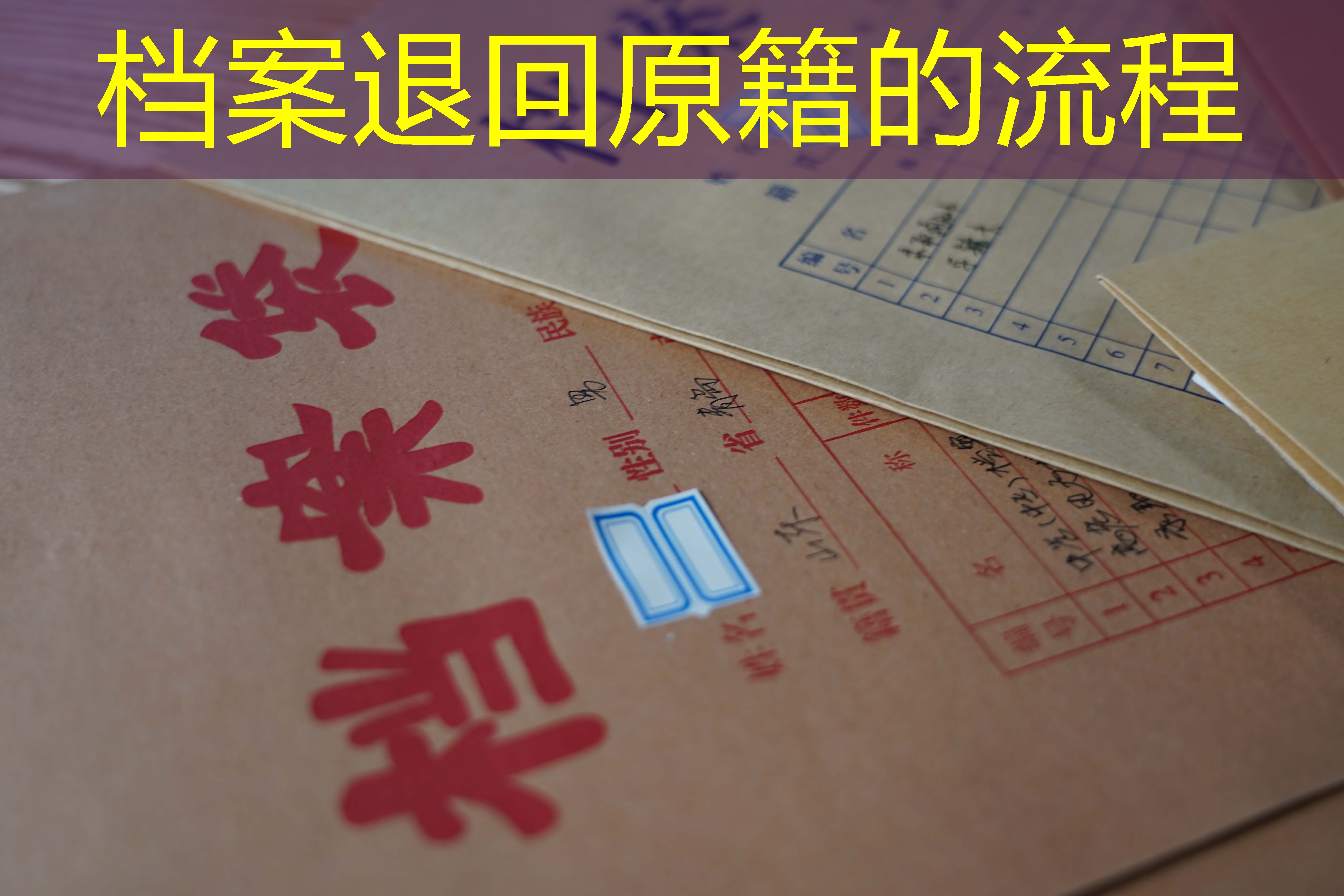 档案查询