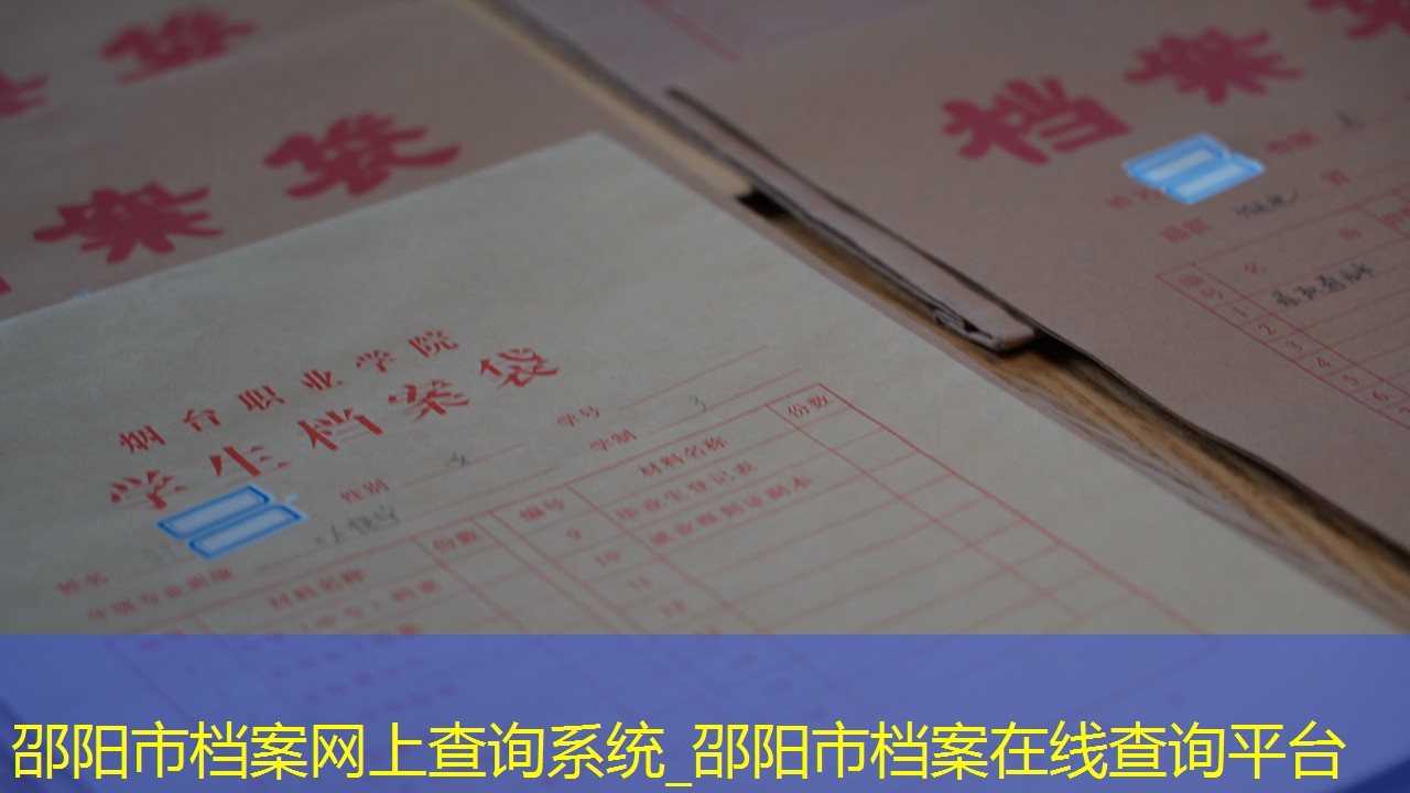 档案查询