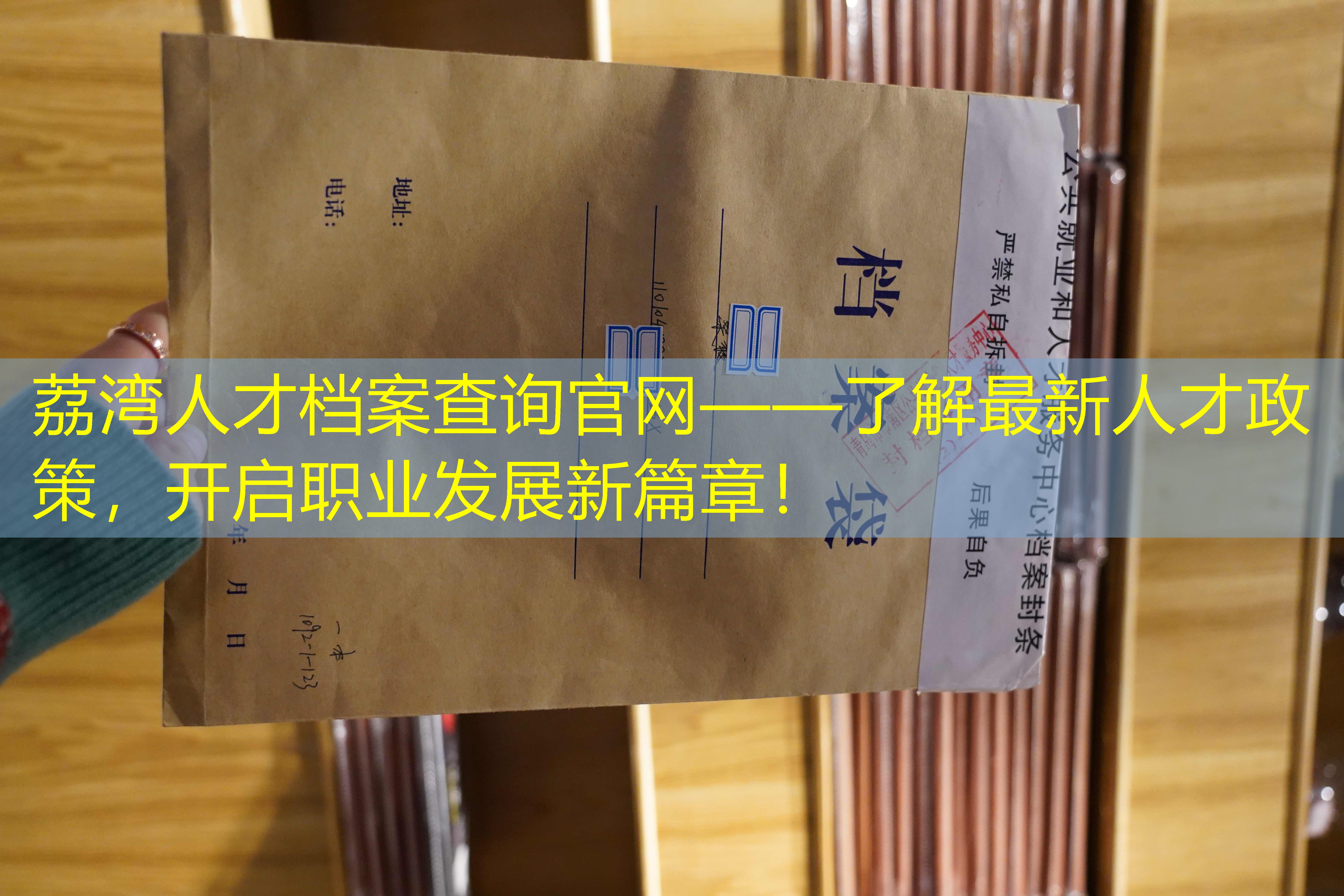 档案查询