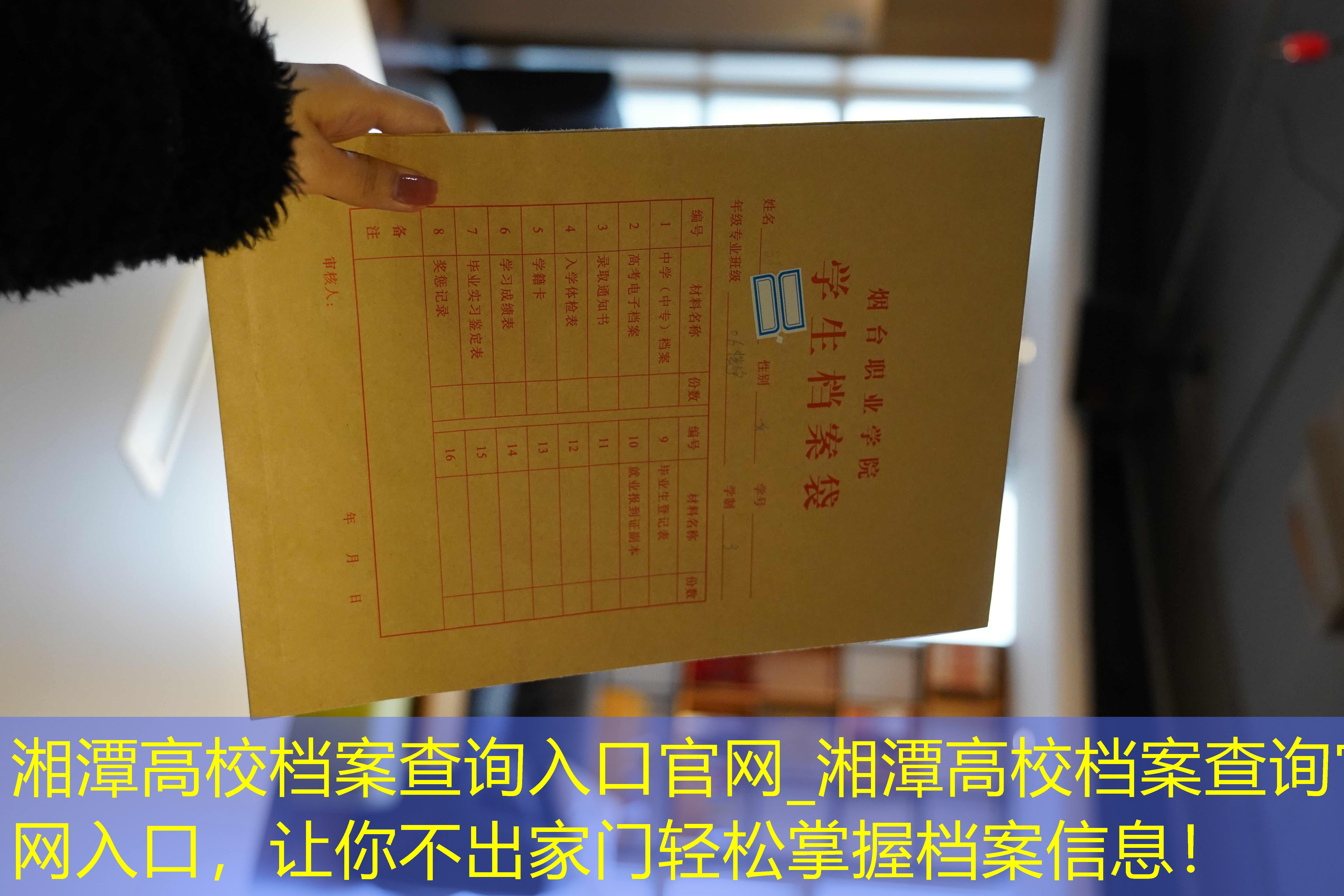 档案查询