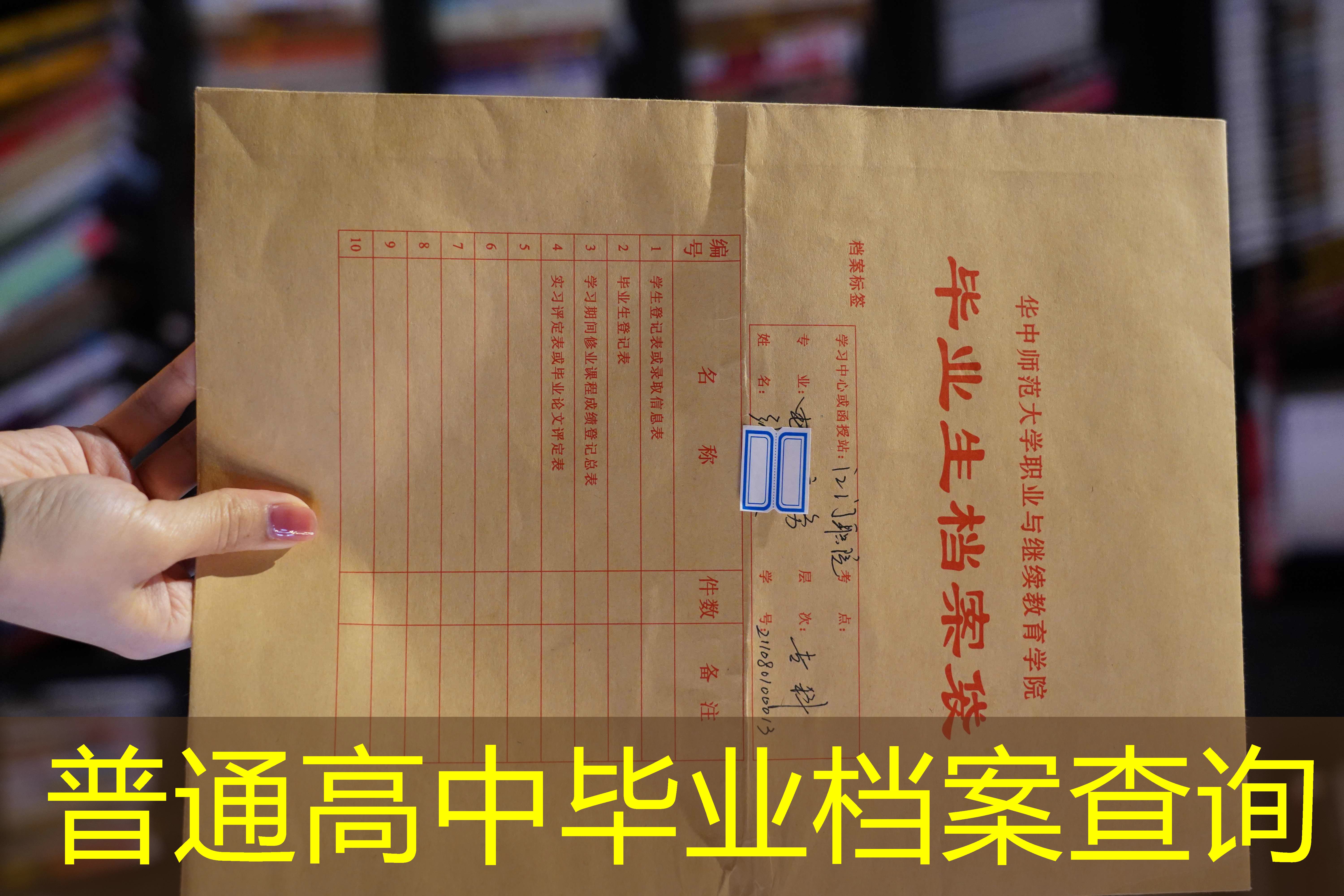档案查询
