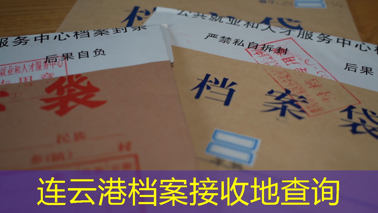 档案查询