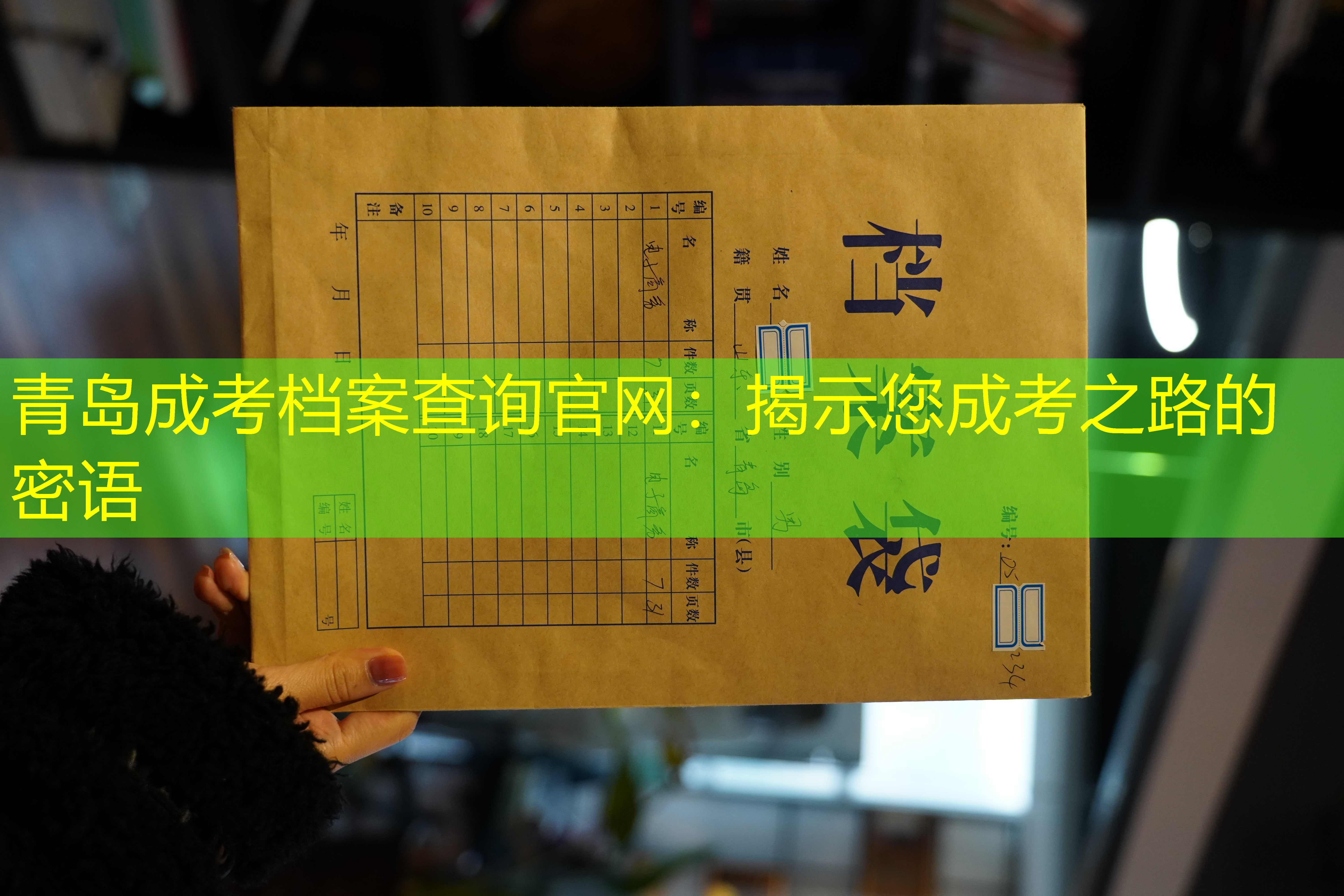 档案查询