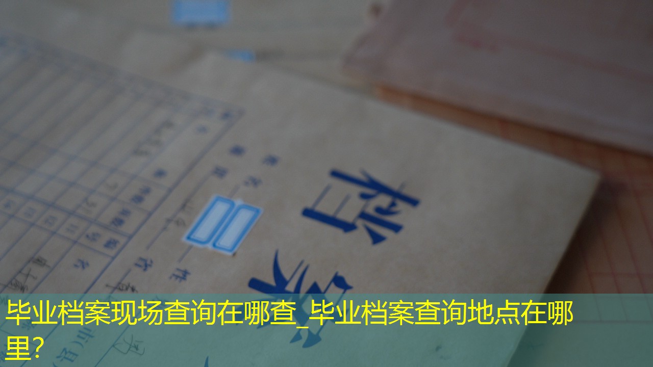 档案查询