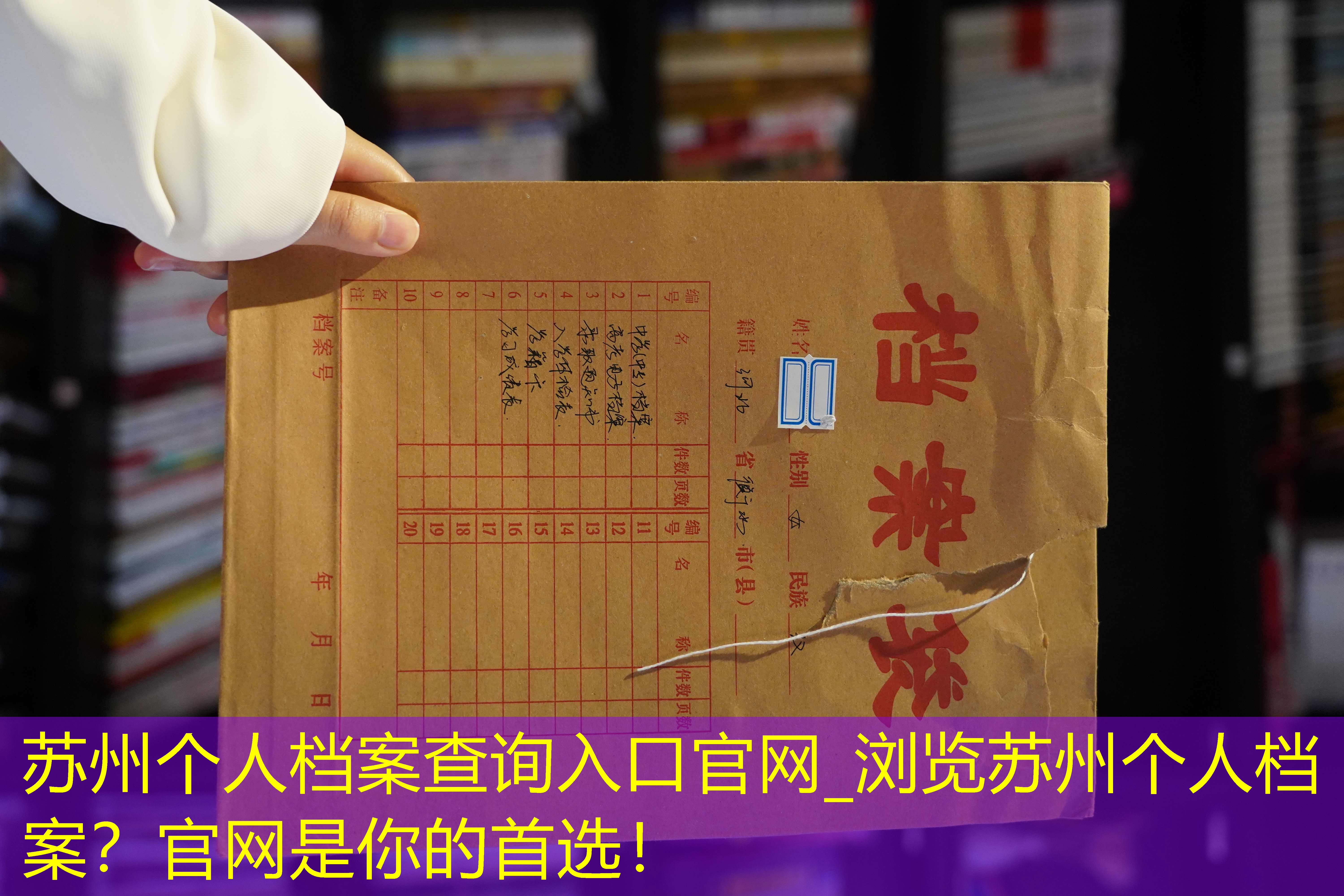 档案查询
