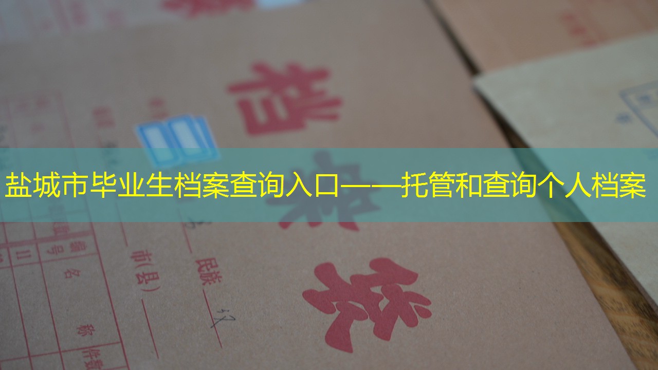 档案查询
