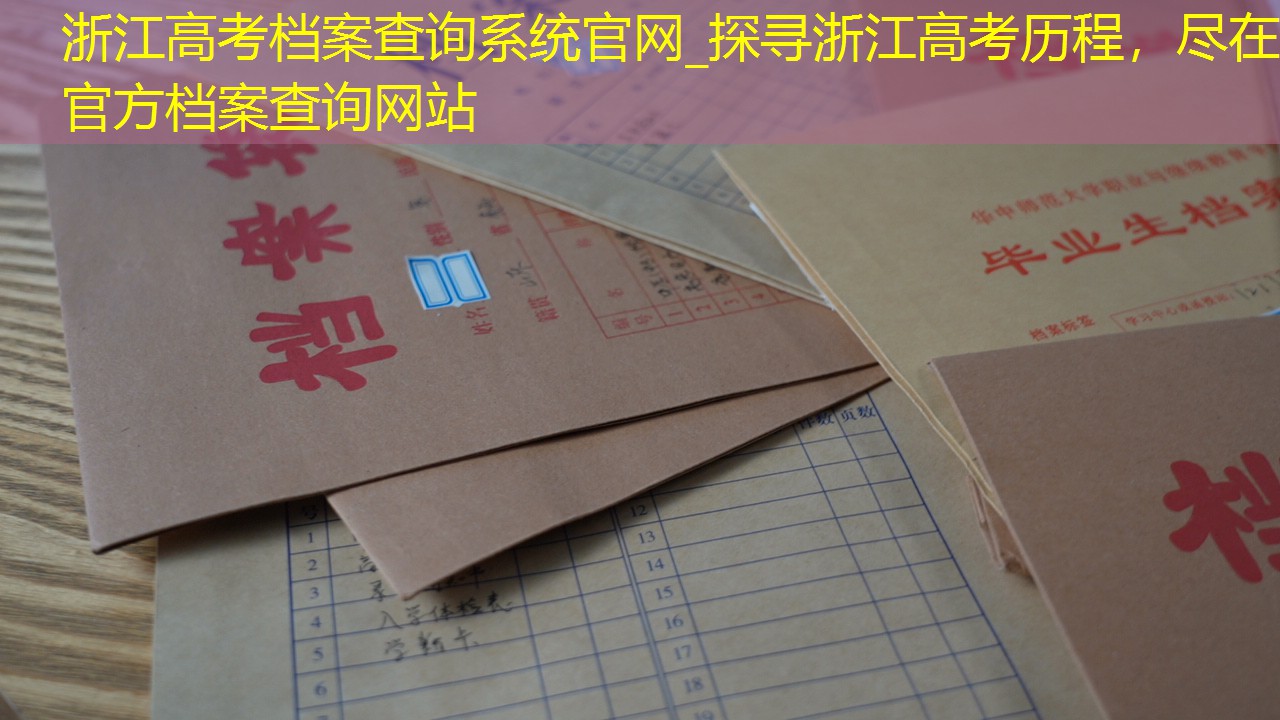 档案查询