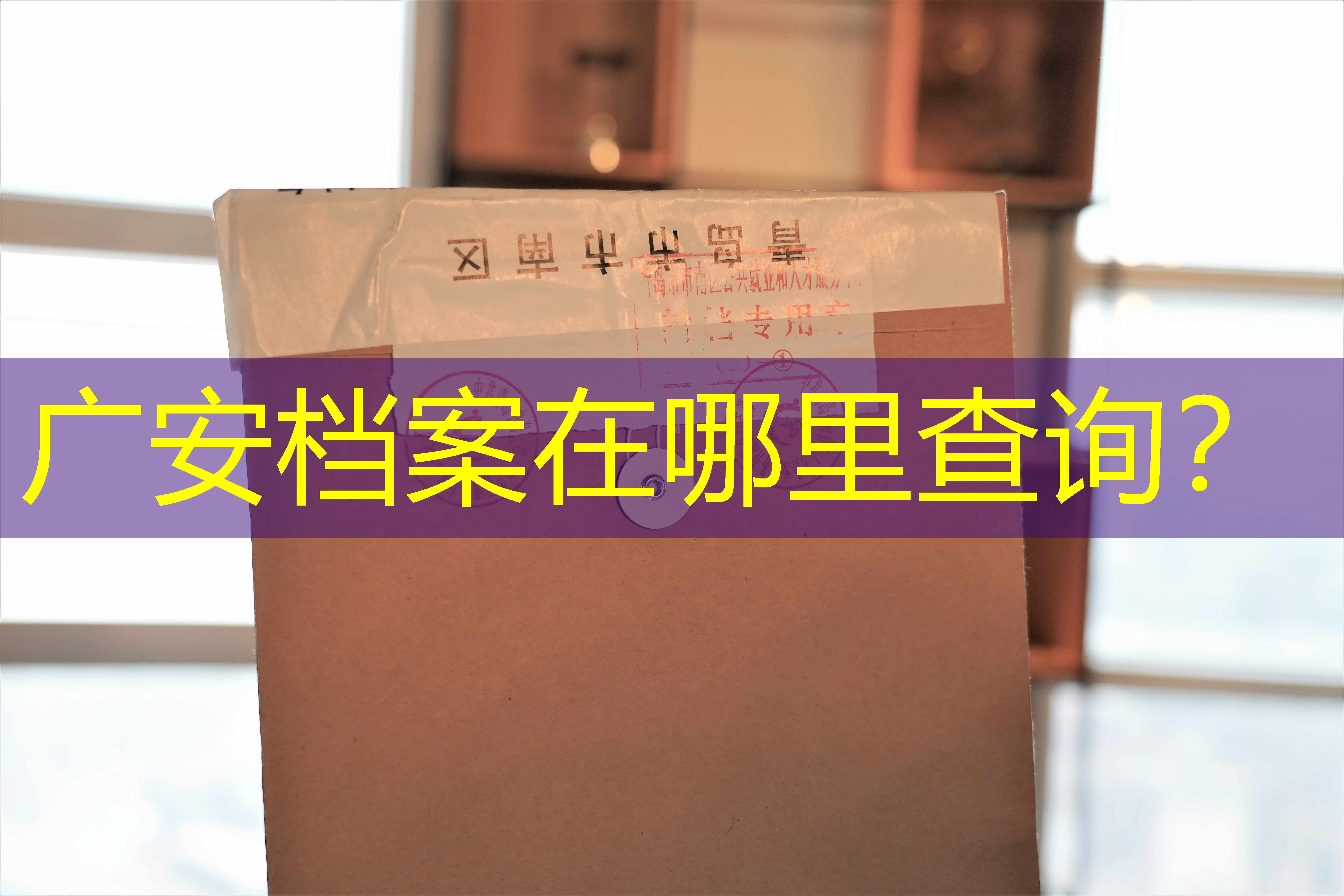 档案查询