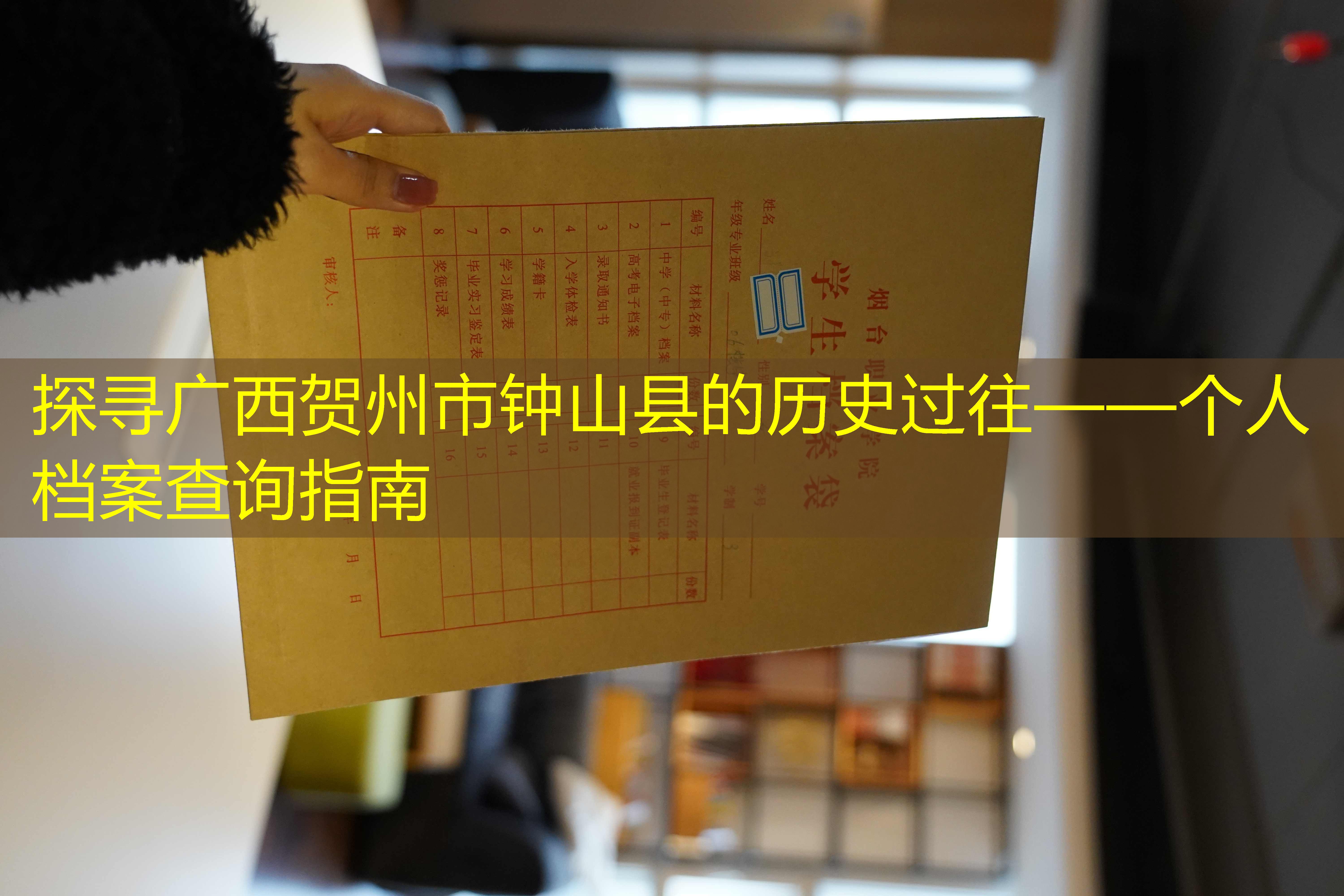 档案查询