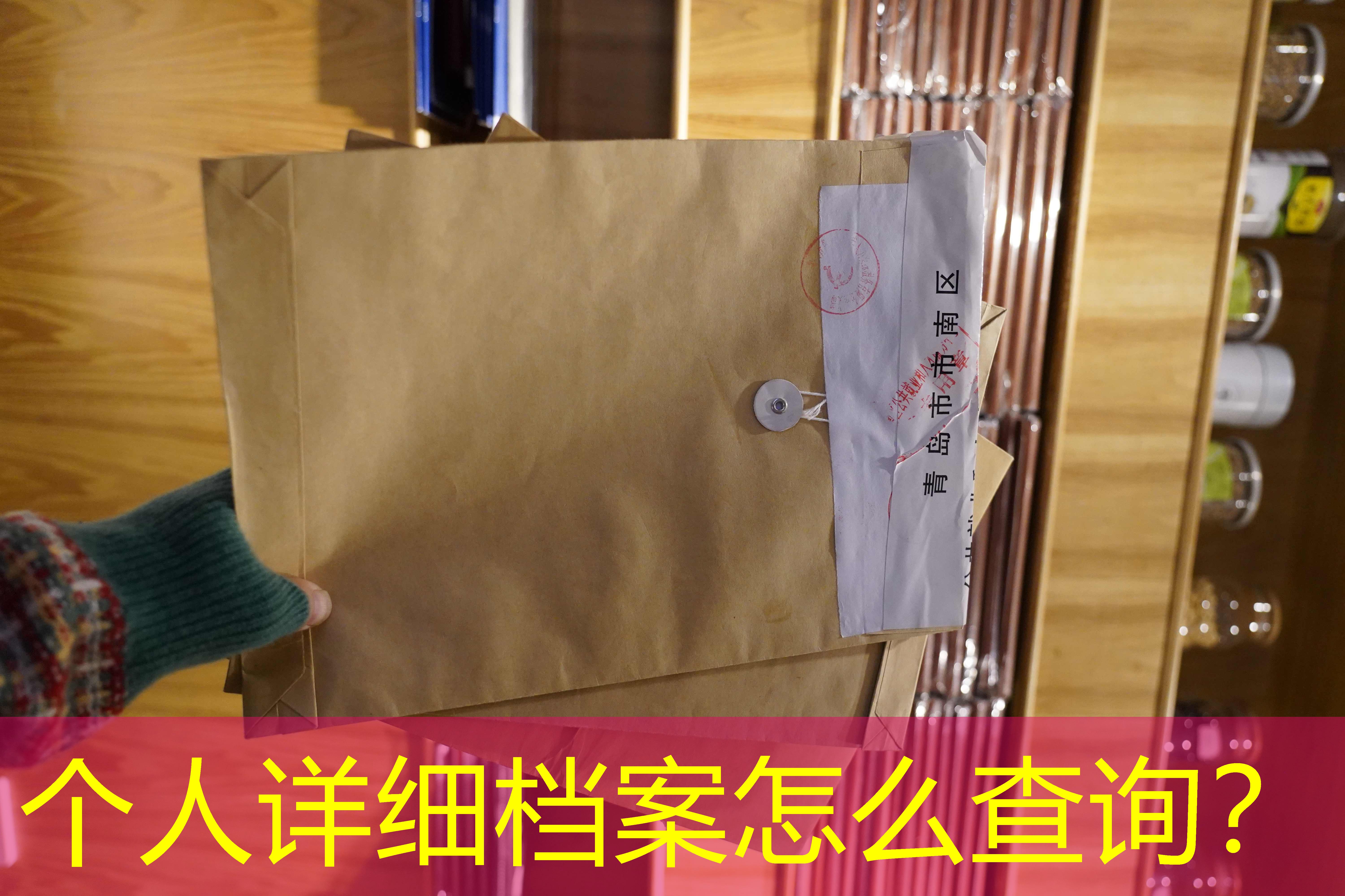 档案查询
