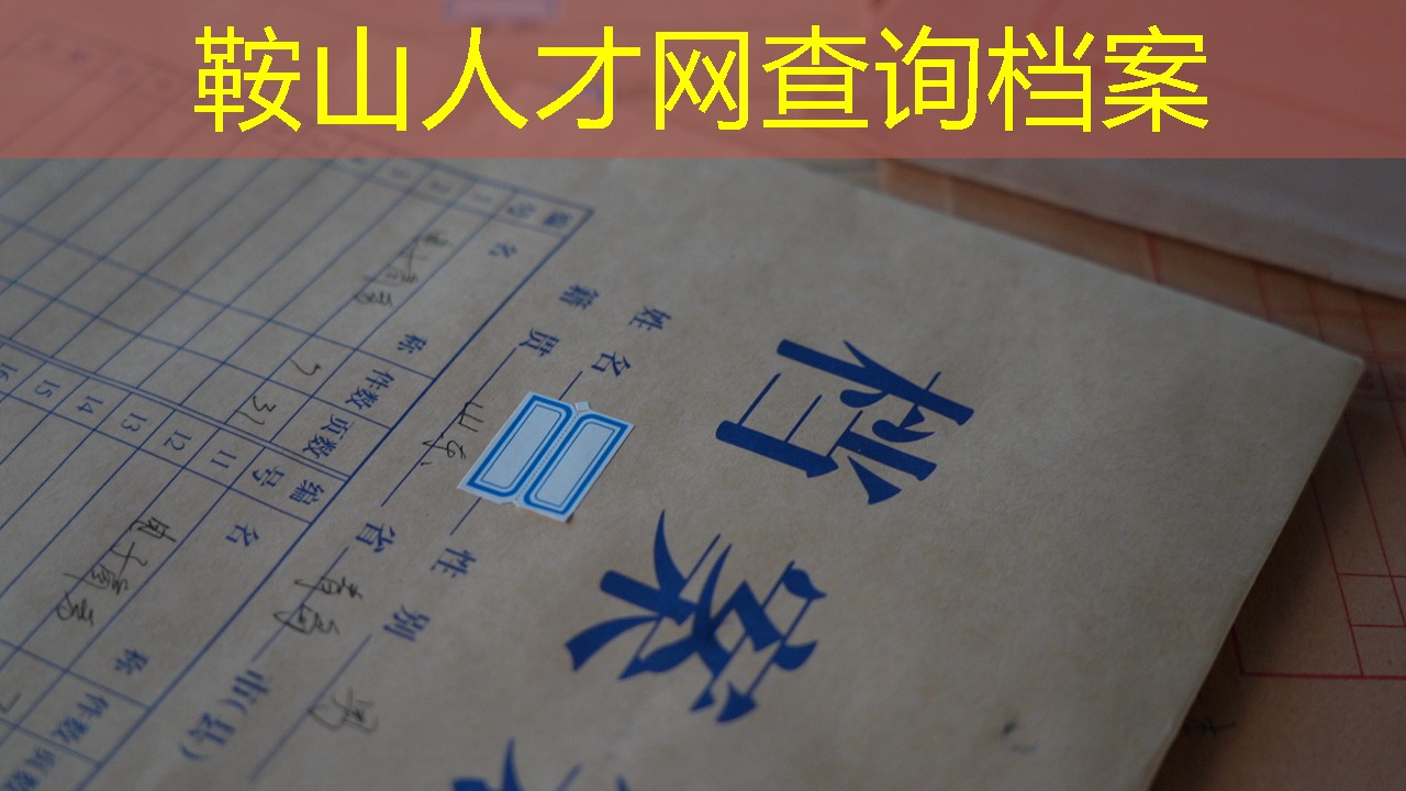 档案查询