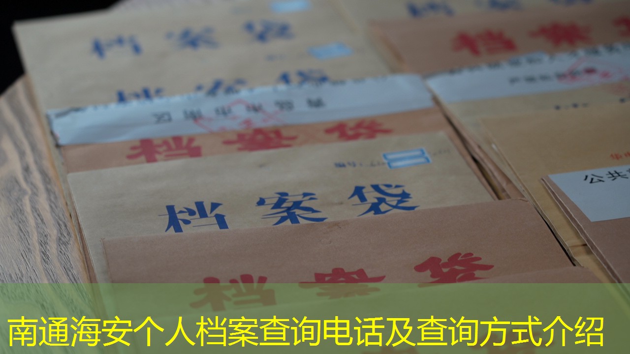 档案查询