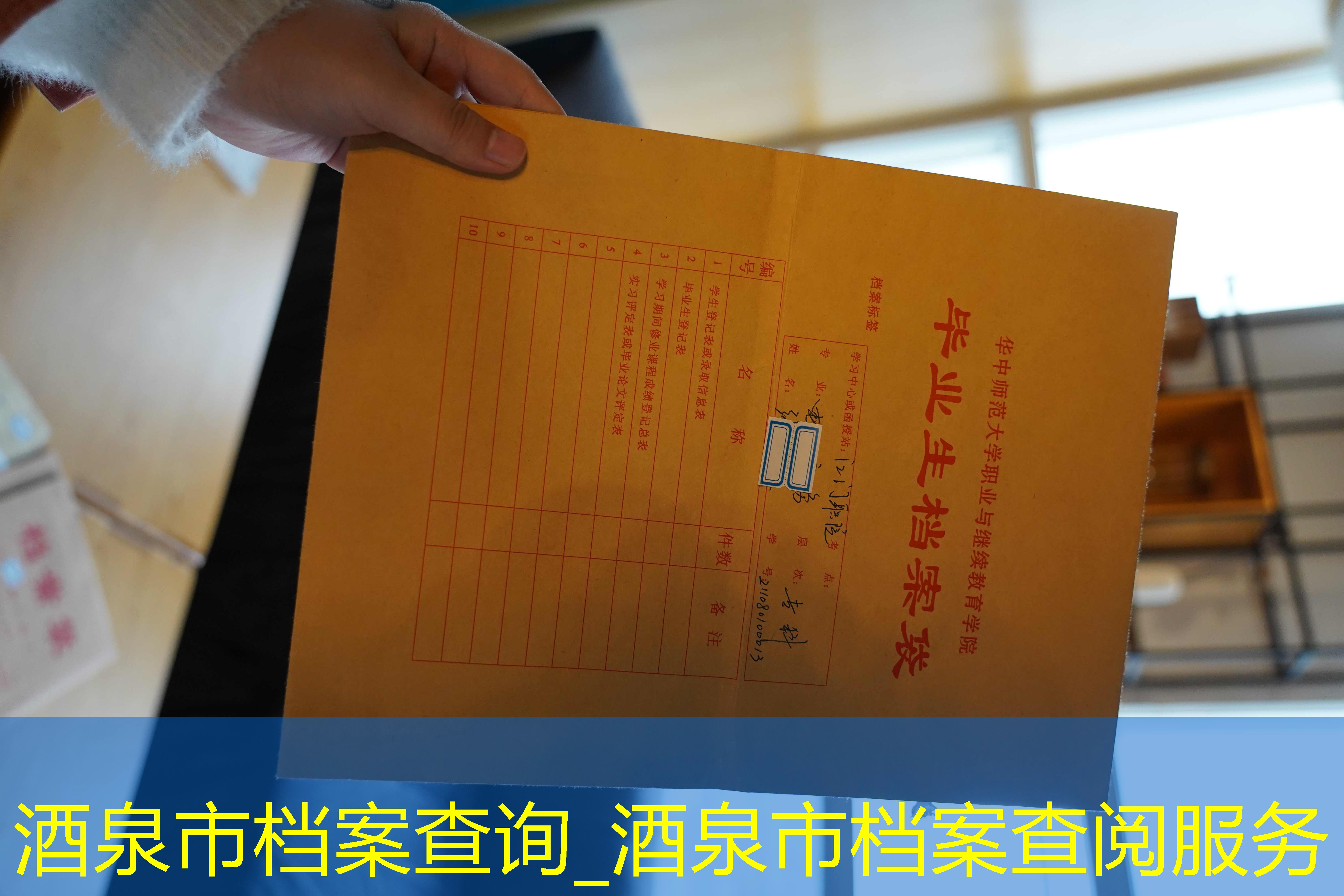 档案查询