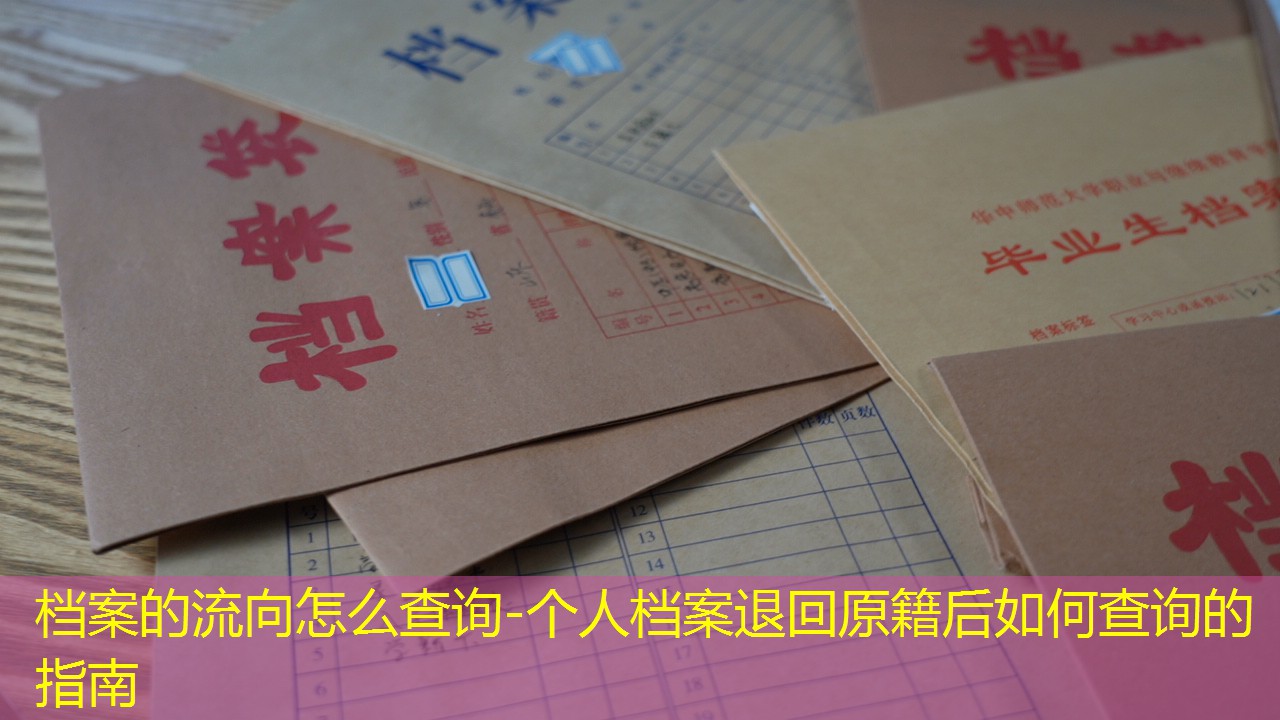 档案查询