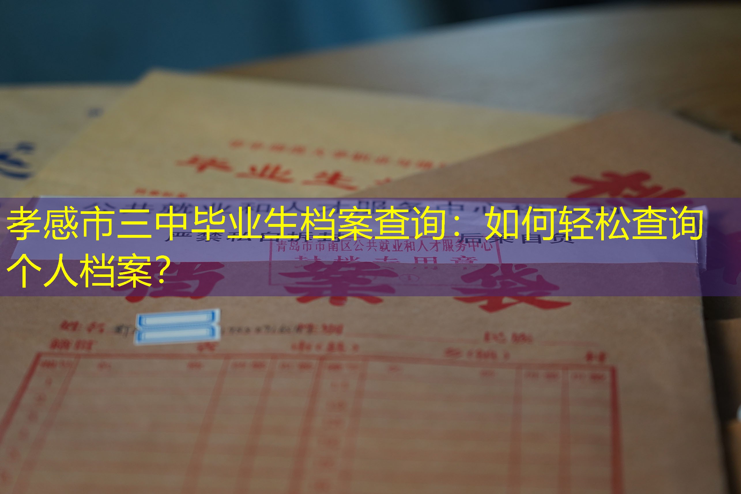 档案查询