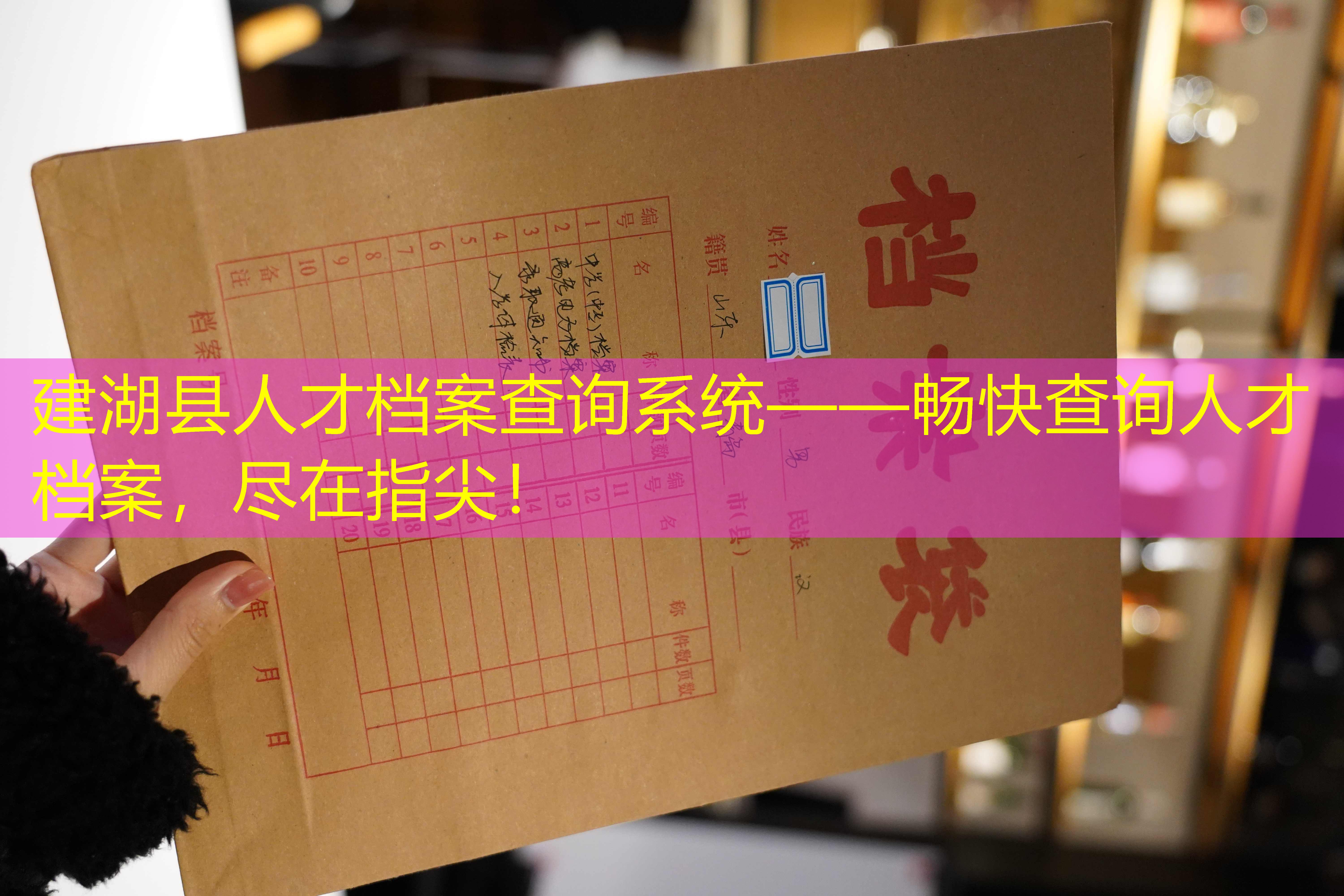 档案查询