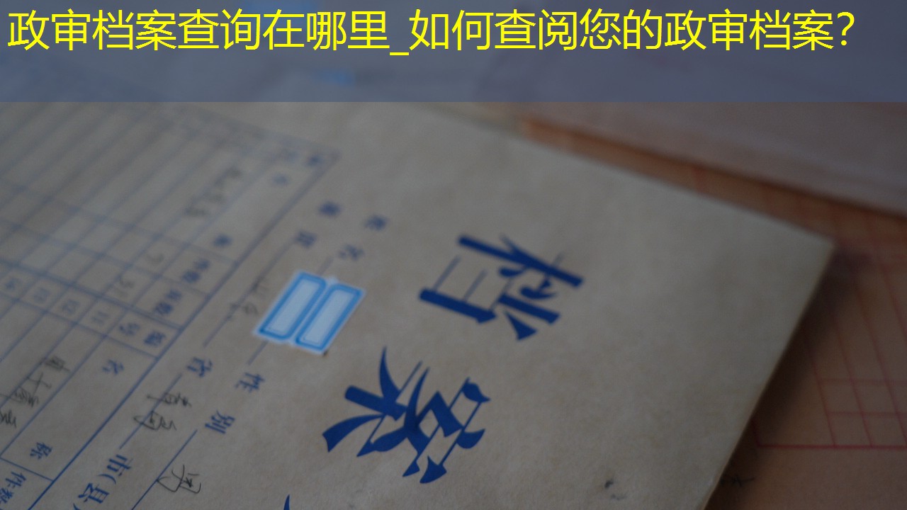 档案查询