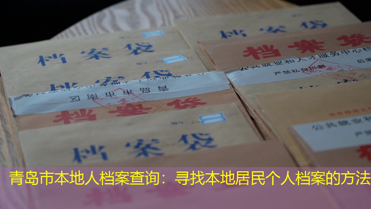 档案查询