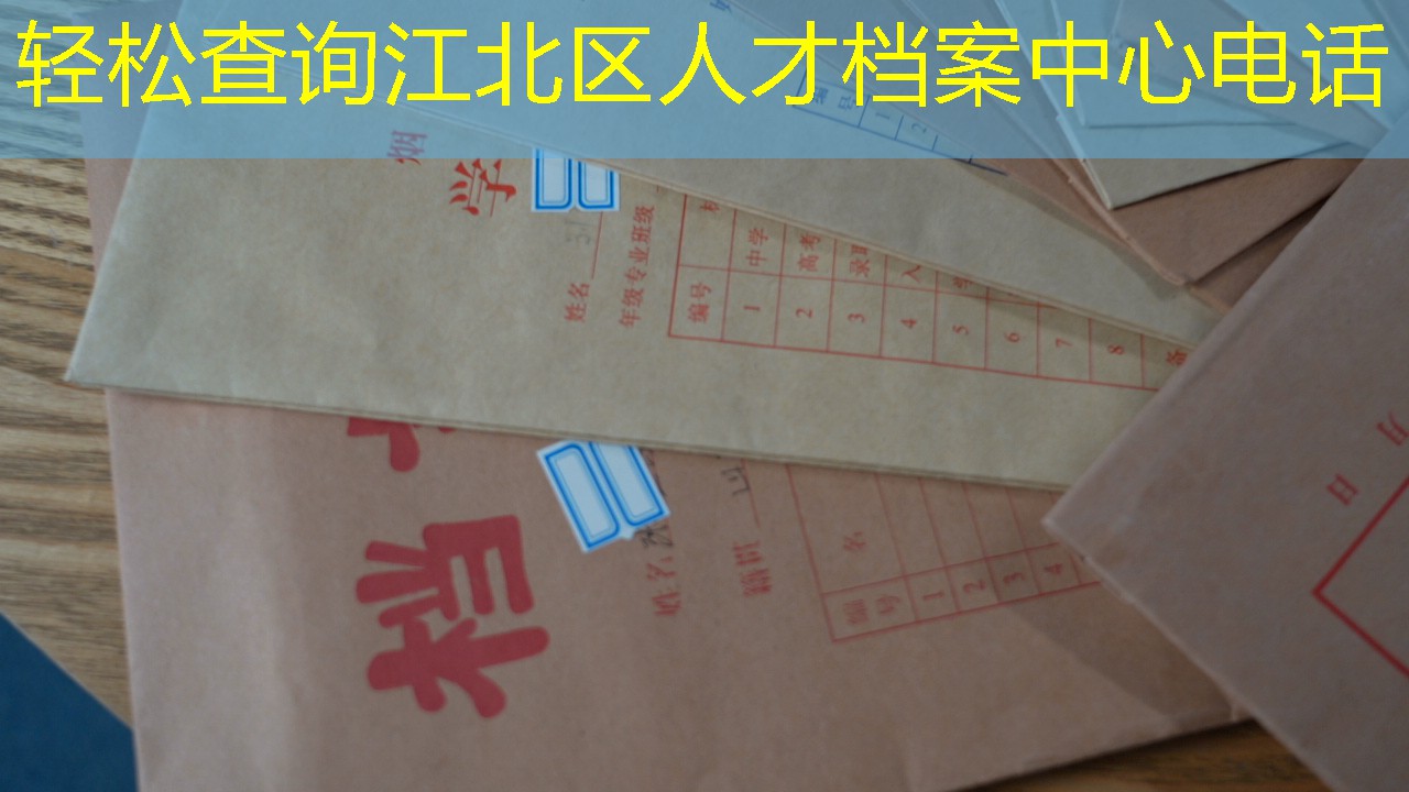 档案查询