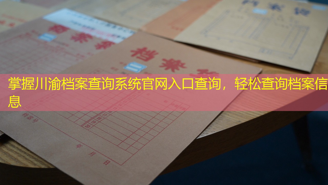 档案查询