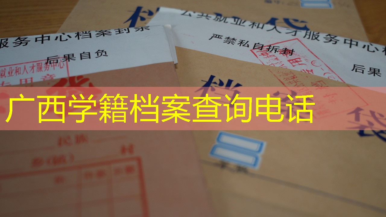 档案查询