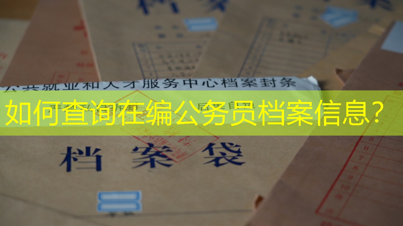 档案查询