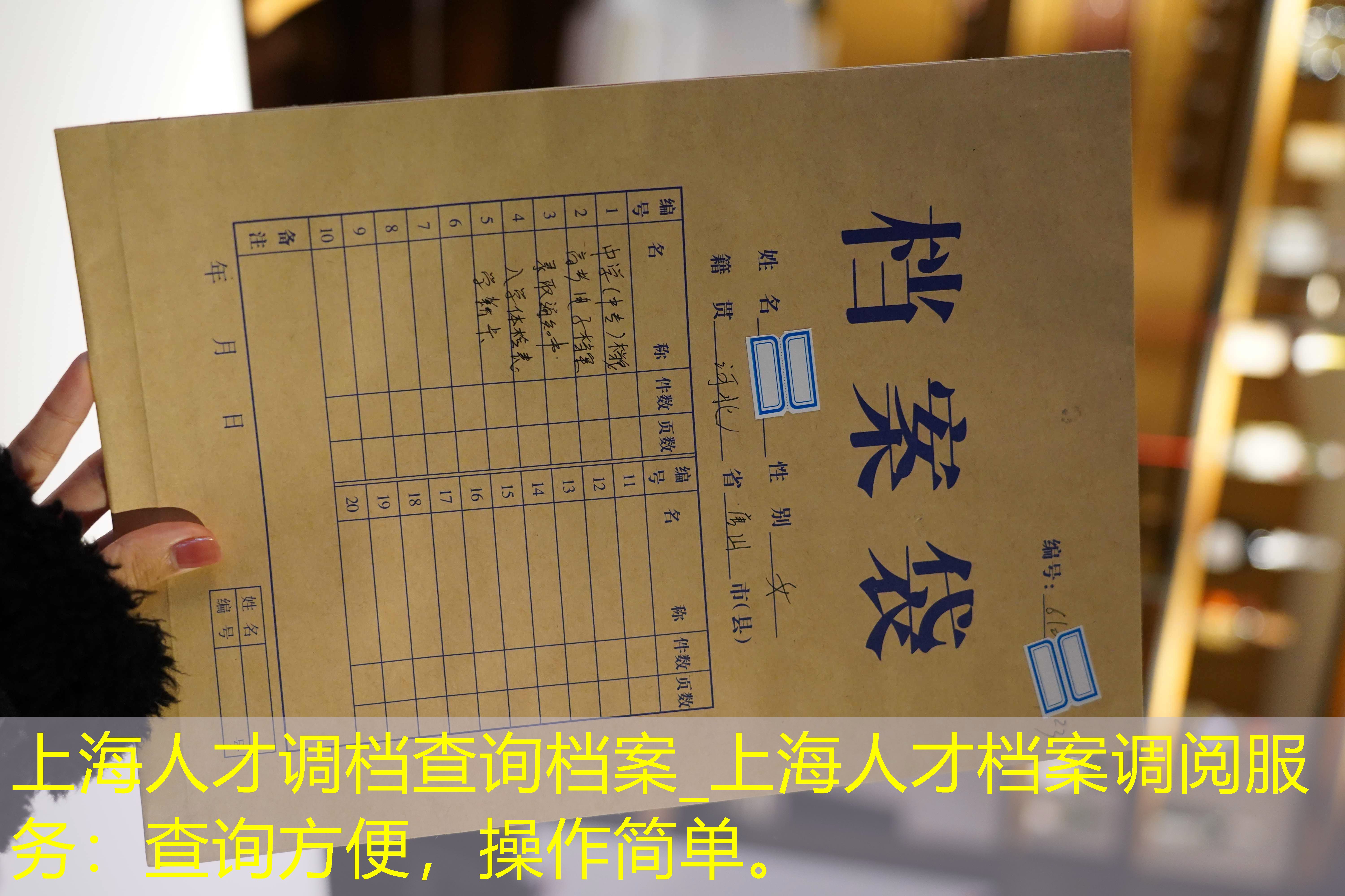 档案查询
