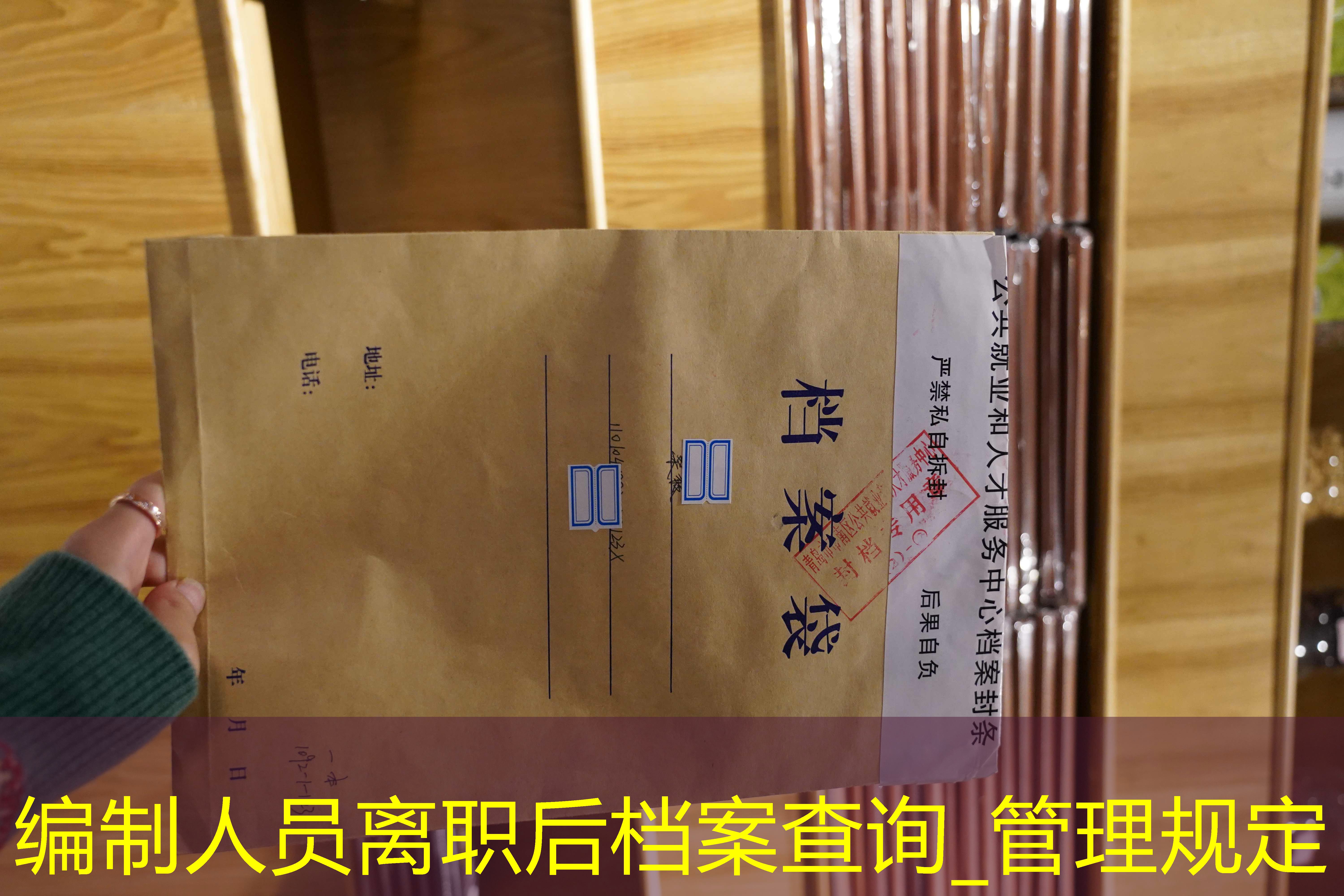 档案查询