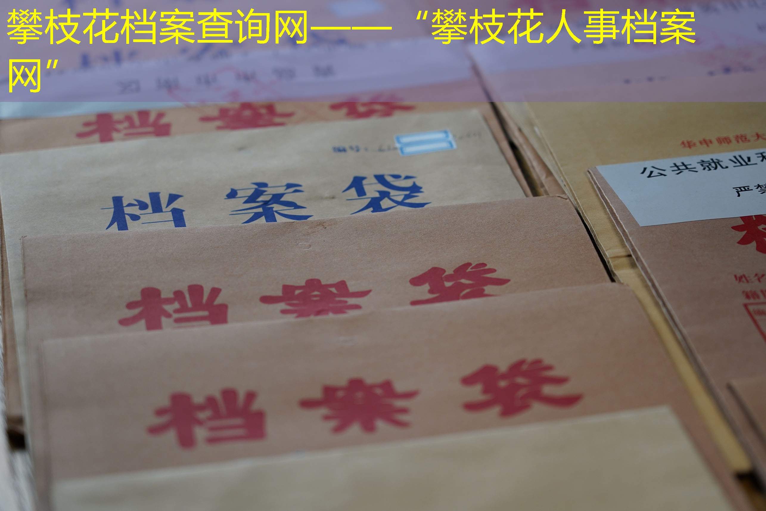 档案查询