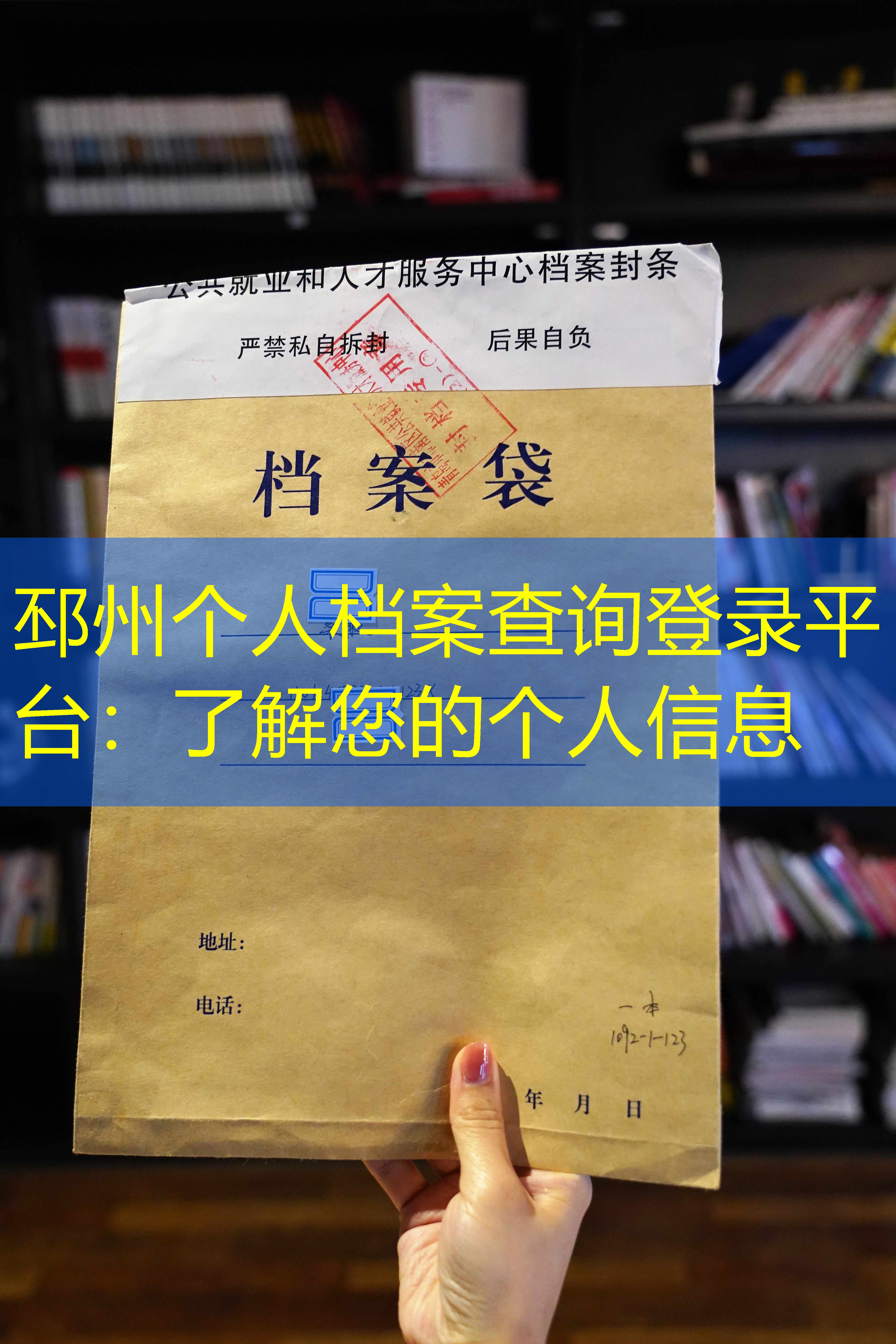 档案查询