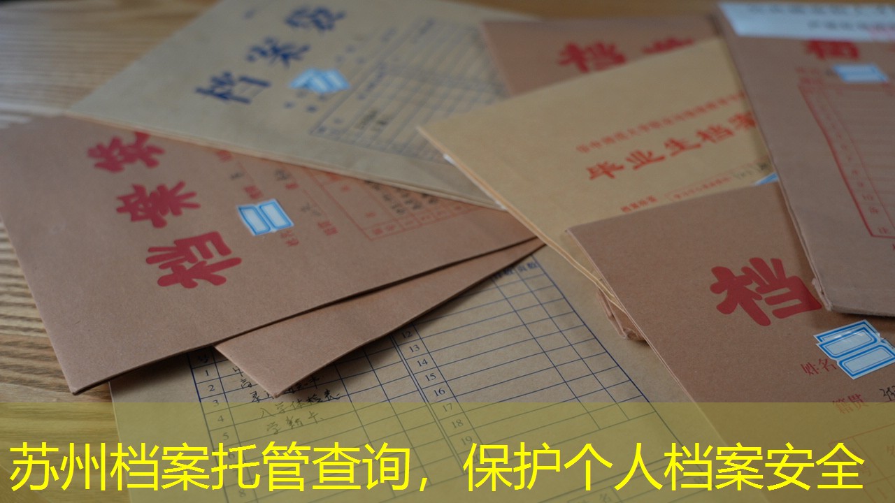 档案查询