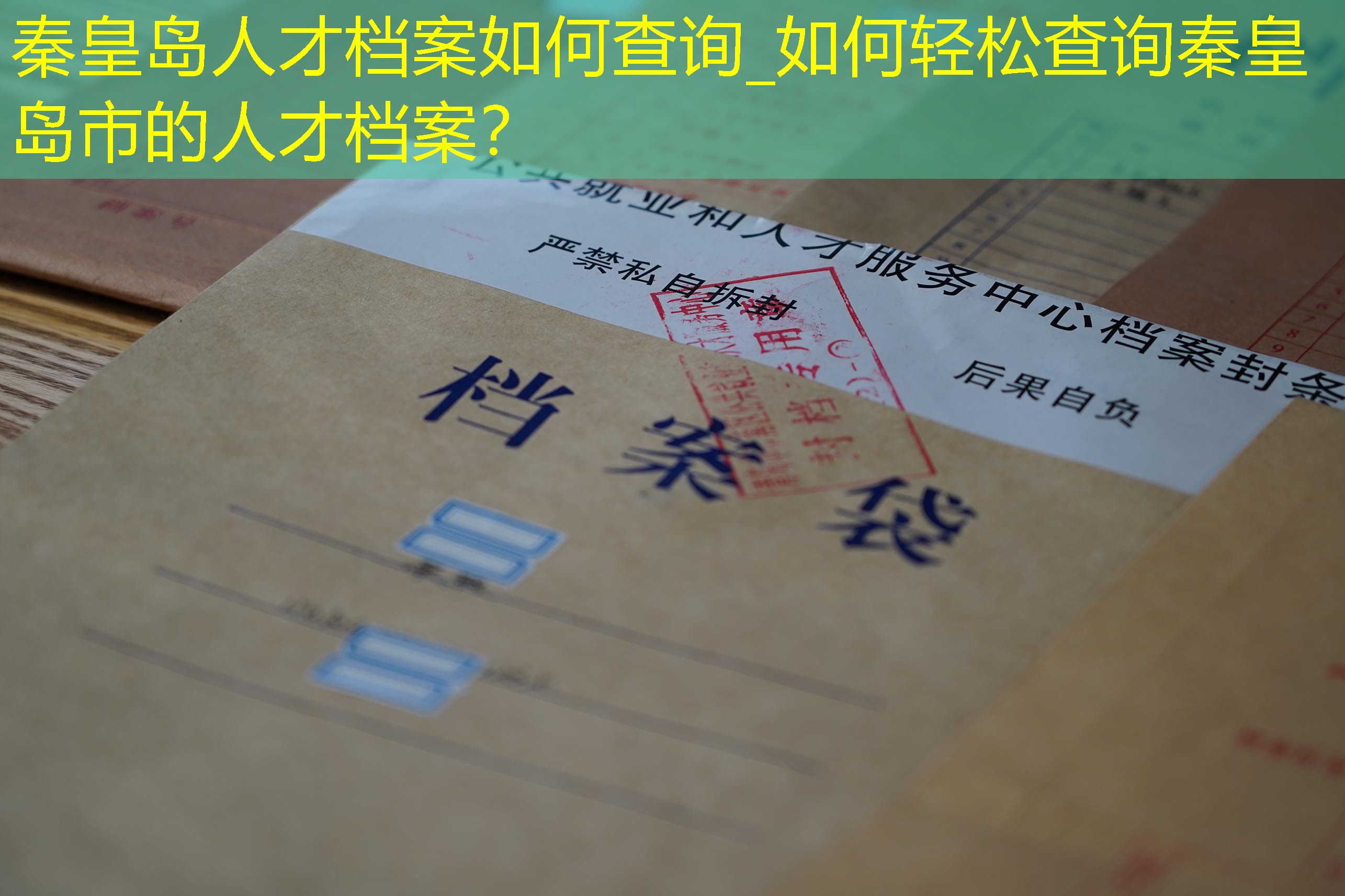 档案查询